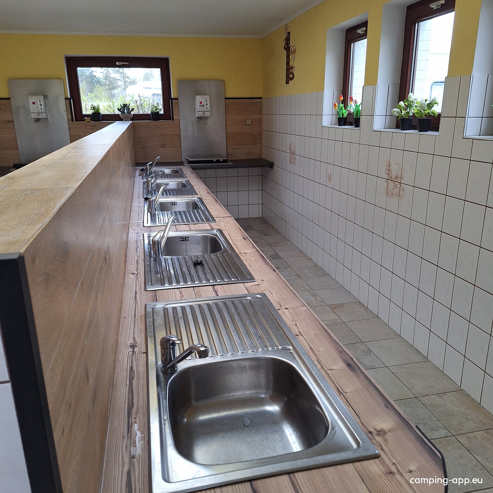 Rosen Camping Kniese — Photo 6