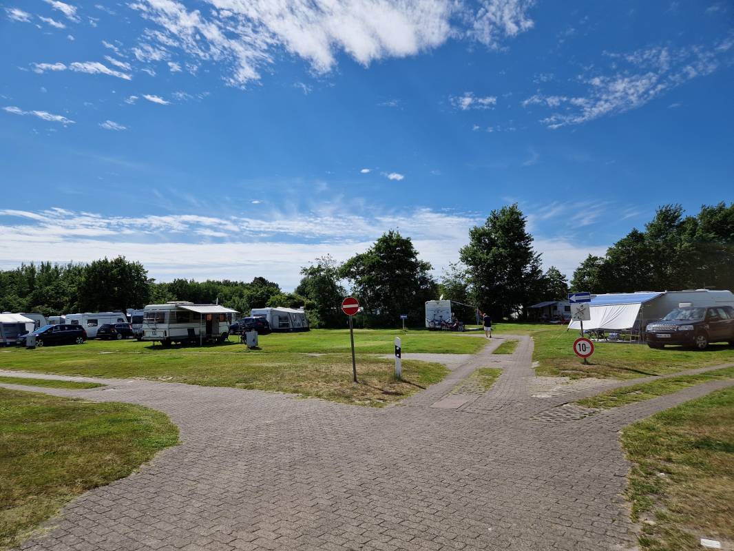 Rosen Camping Kniese — Photo 3