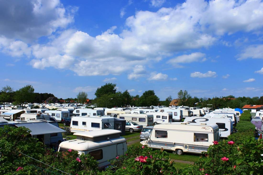 Rosen Camping Kniese