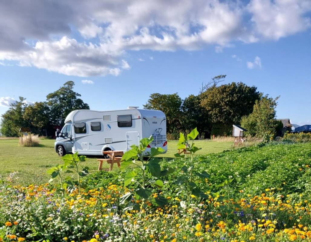 Inga & Paul Jacobsen — Photo 3