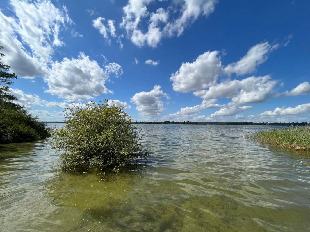 Naturcamping Retgendorf — Photo 3