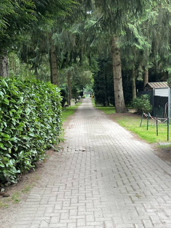 Campingplatz Waldoase-Merzen — Photo 3