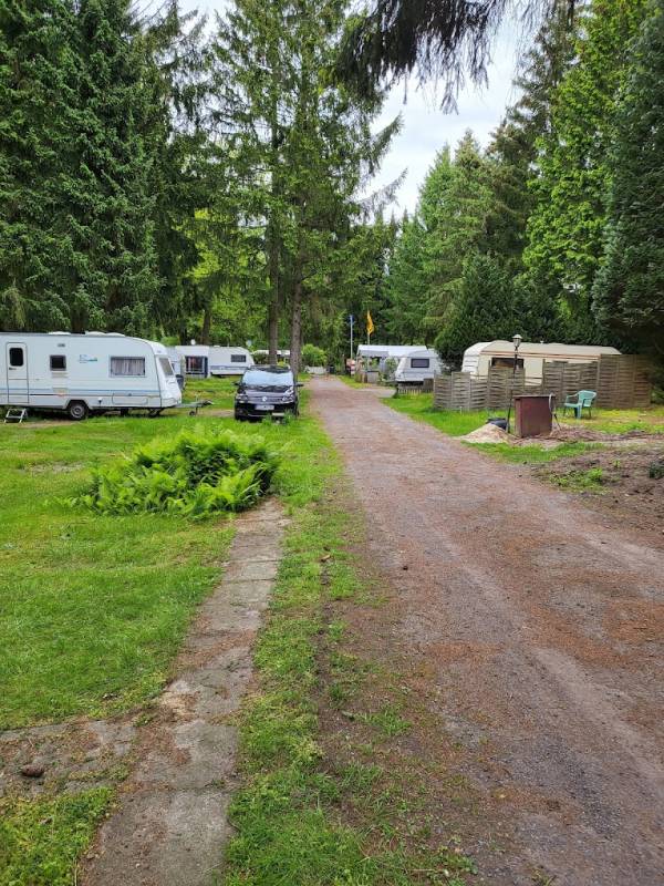 Campingplatz Waldoase-Merzen