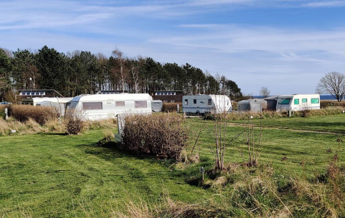 Marstal Camping — Photo 4