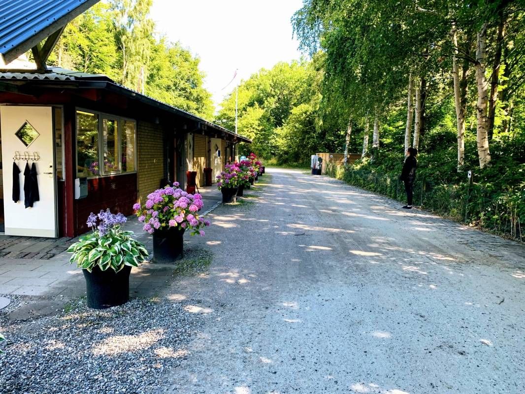 Marstal Camping — Photo 3