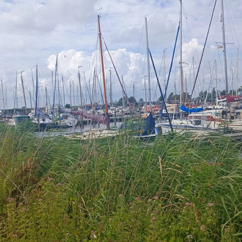 Jachthaven — Photo 6