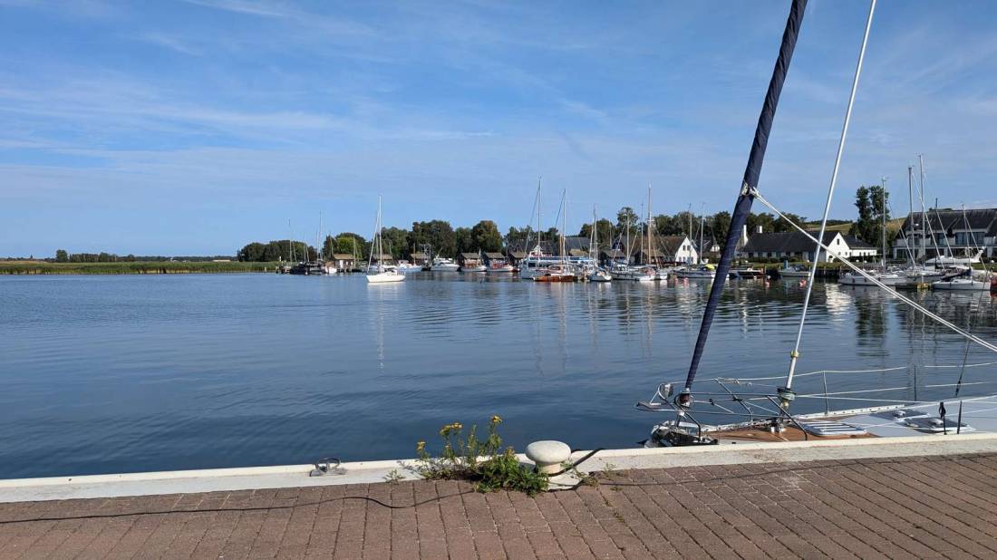 Marina Gager — Photo 4