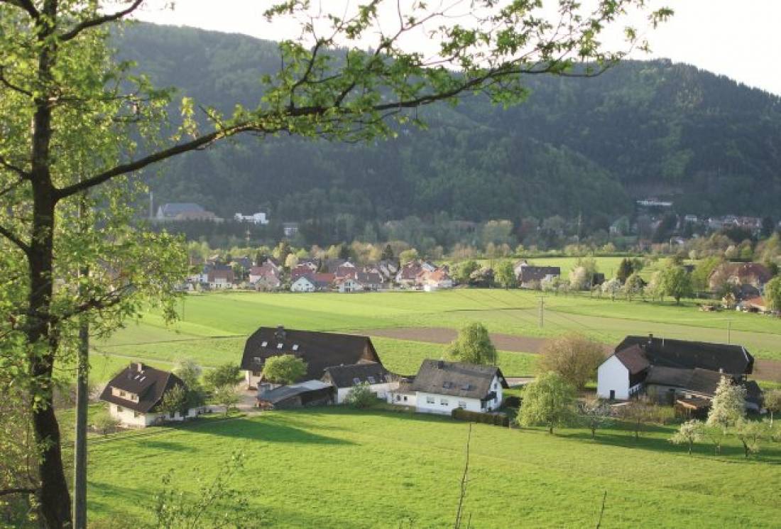 Camping Elztalblick — Photo 4