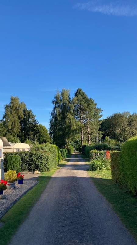 Waldseehof — Photo 3