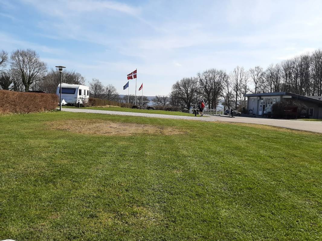 DCU Camping Kollund — Photo 3