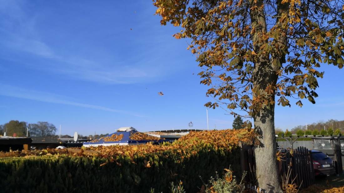 Camping Thüle — Photo 3