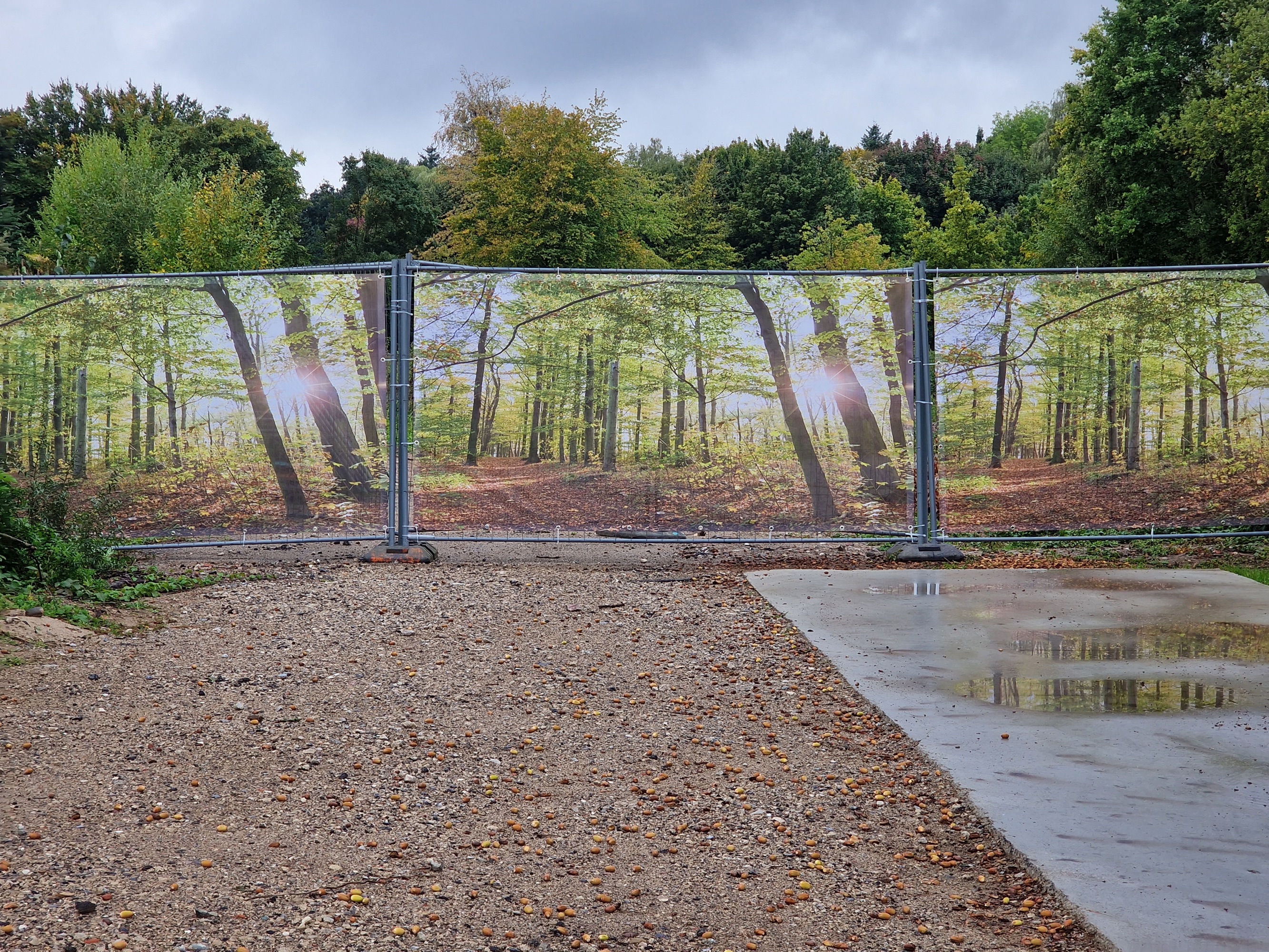 Womo Sierksdorf — Photo 4