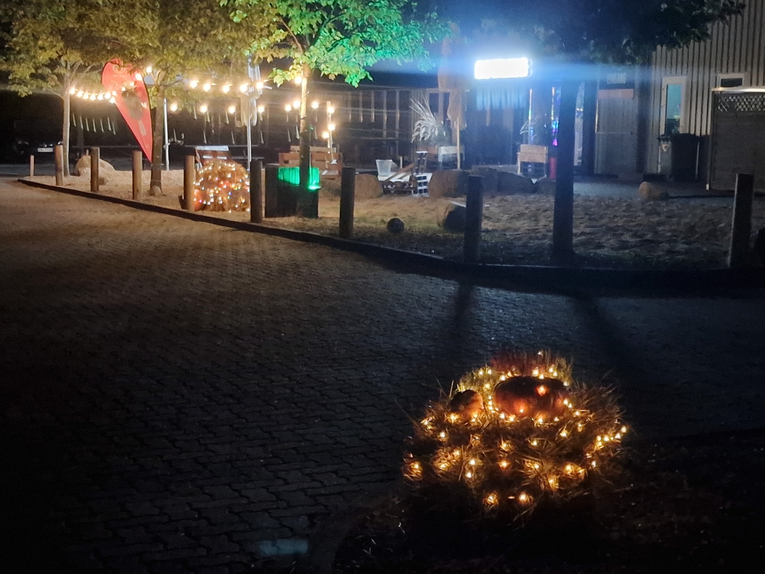 Womo Sierksdorf — Photo 6