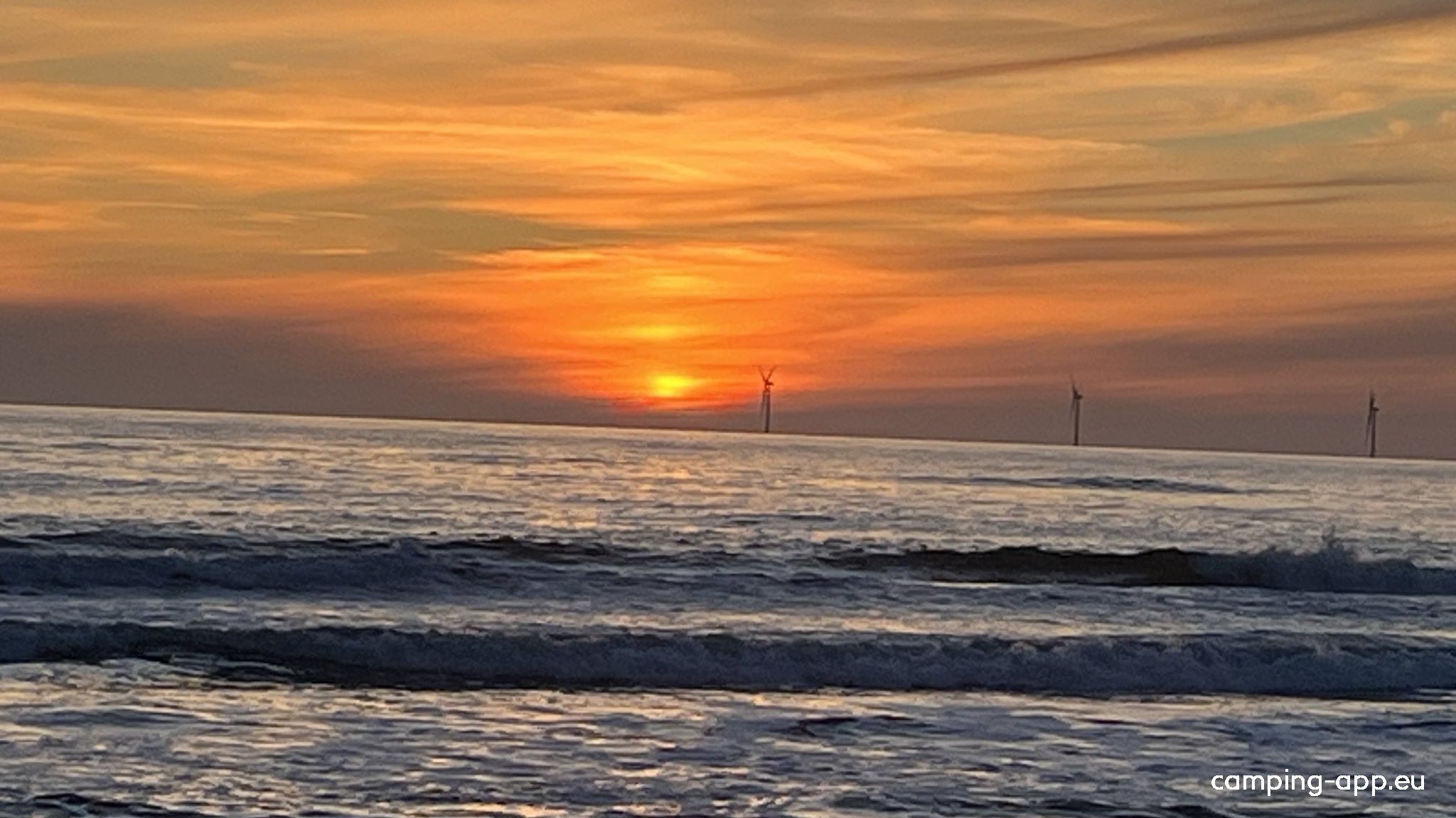 Hvide Sande Camping — Photo 2