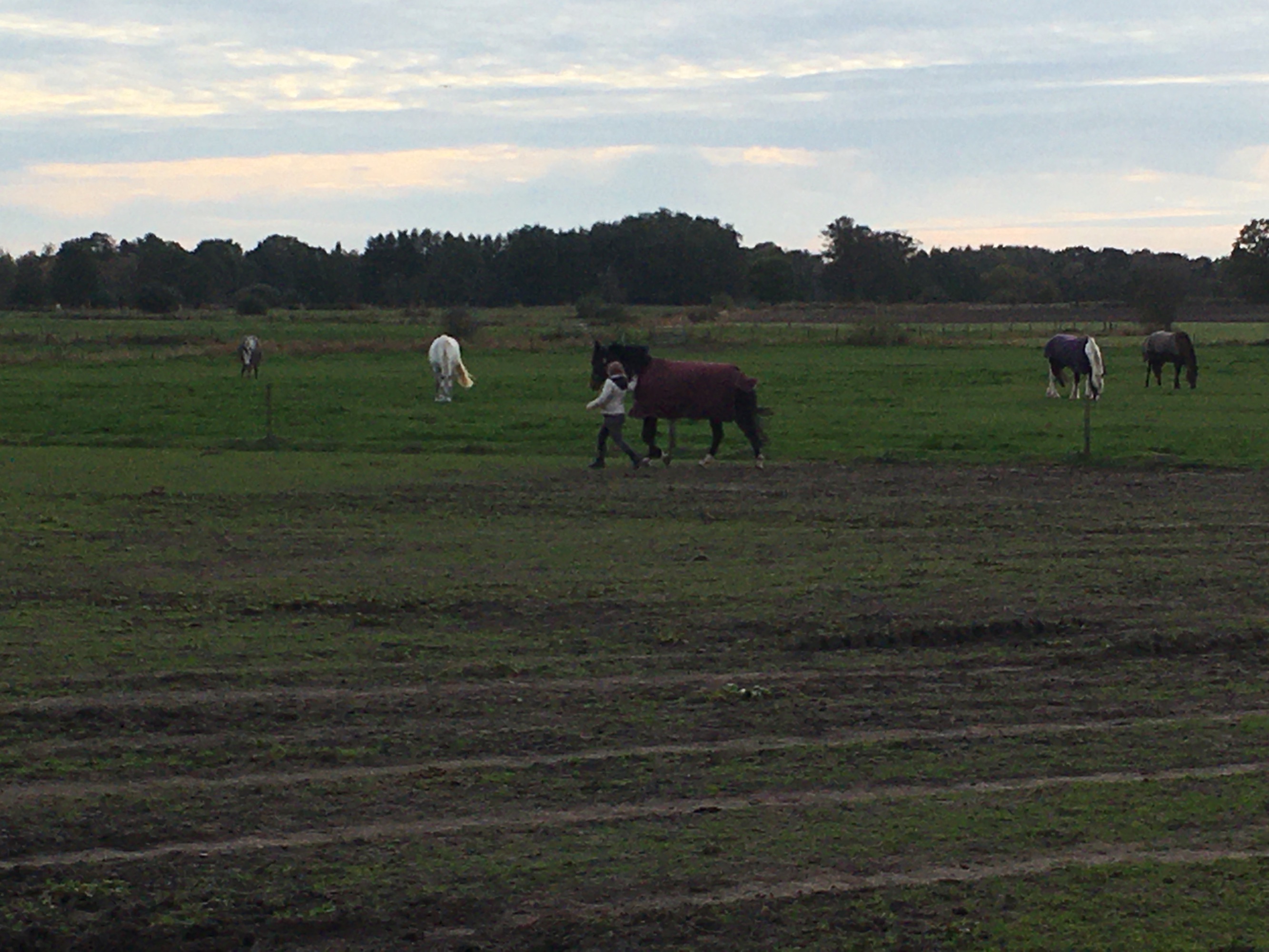 Bauernhof Fam. Funke — Photo 3