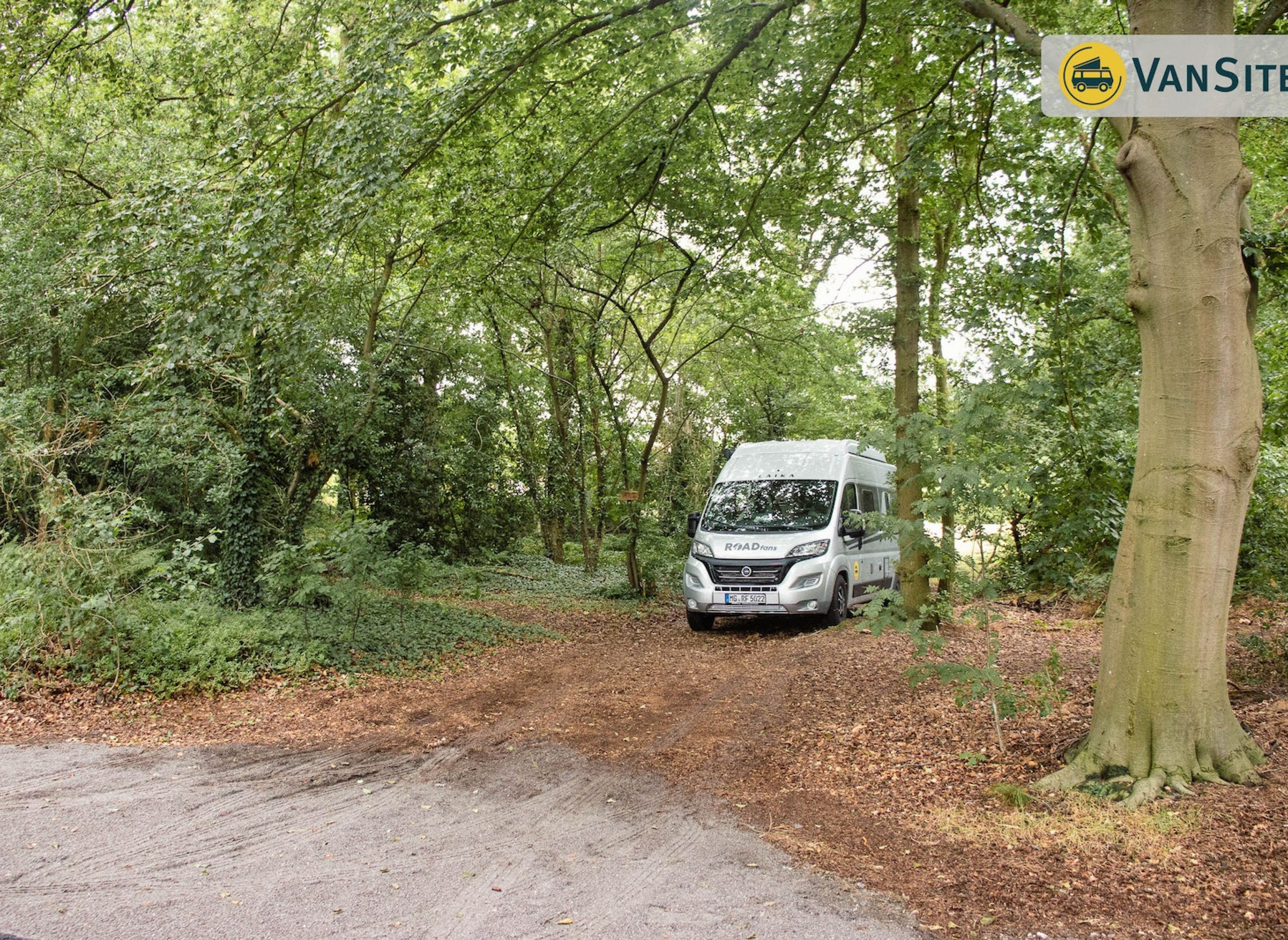 Waldstück-Fillerkuhle