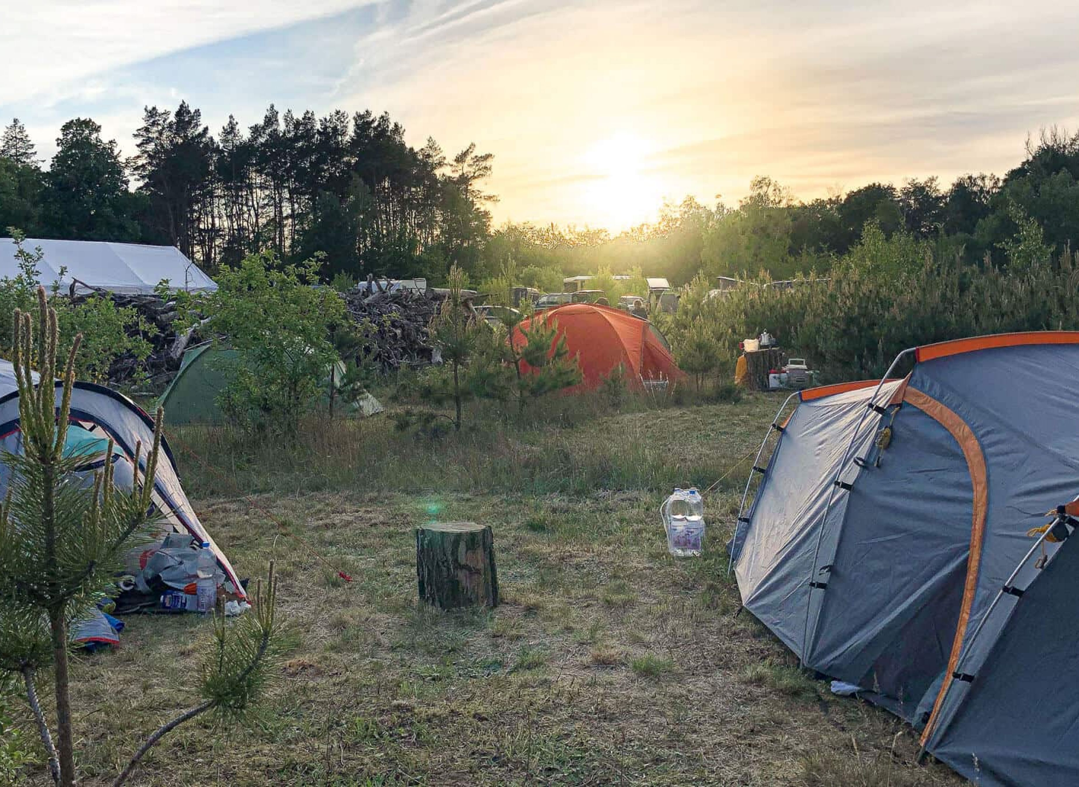 Wilde-Heimat — Photo 2