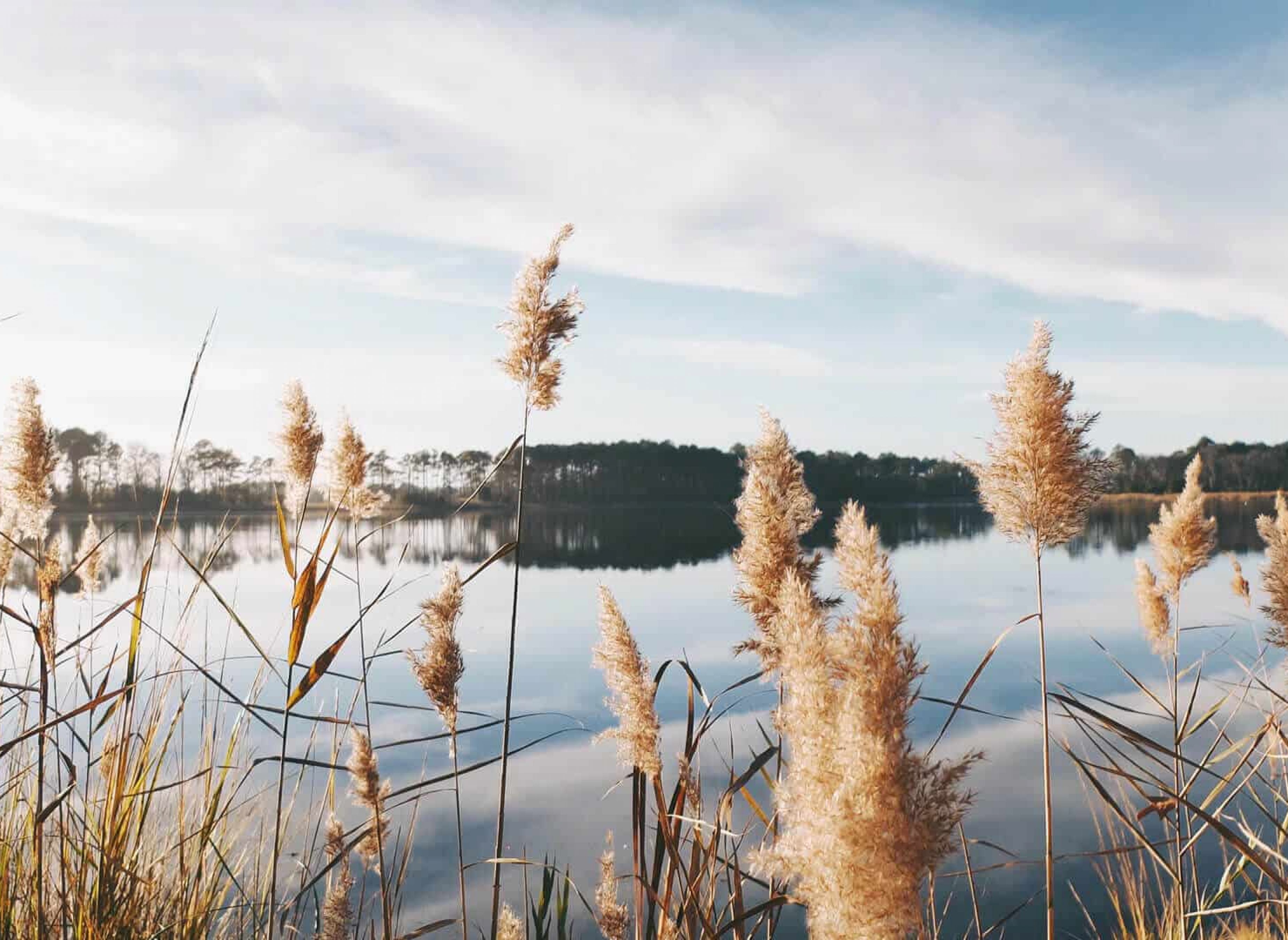 Wilde-Heimat — Photo 3