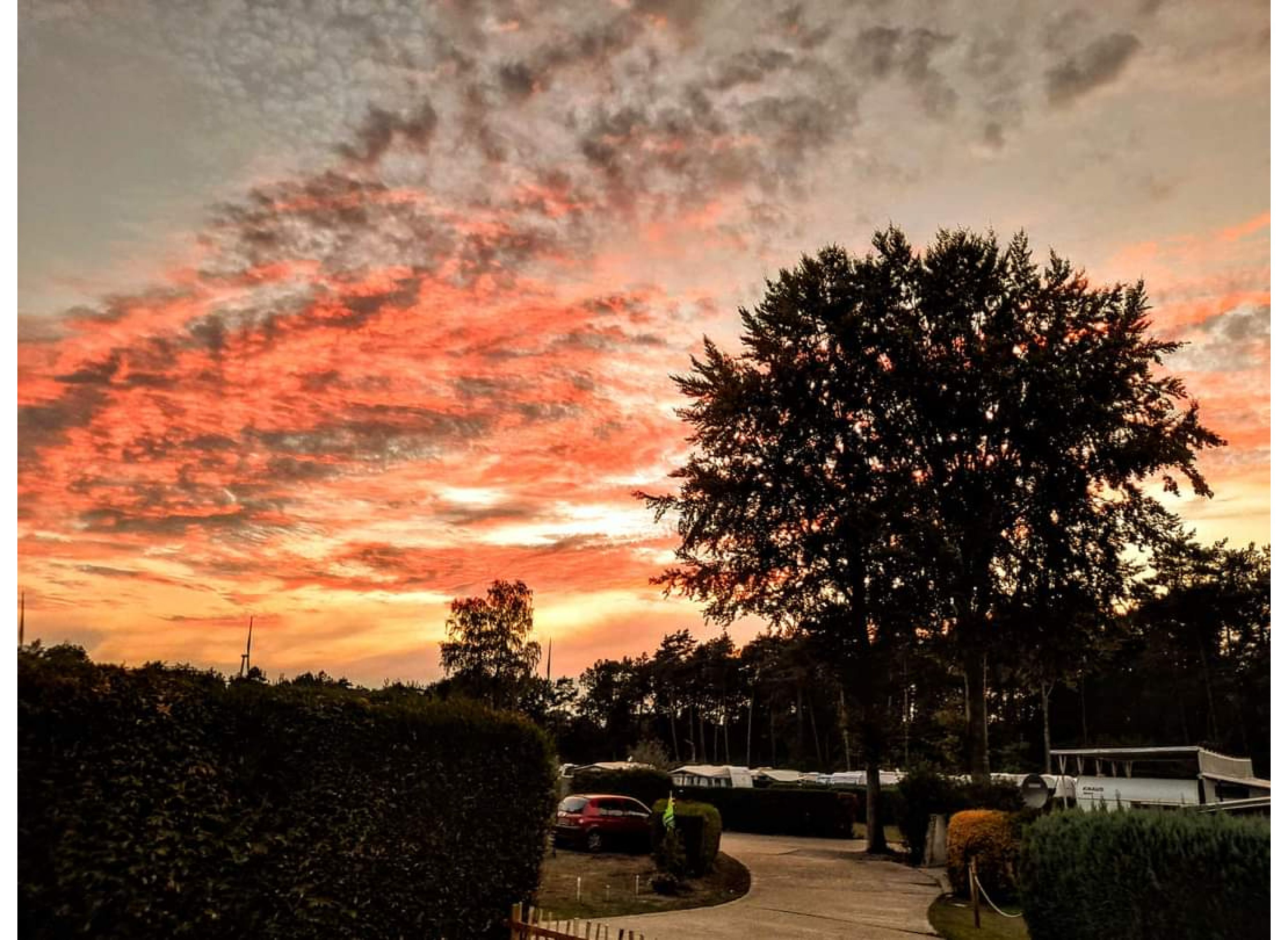 Stellplatz am Waldesruh Campingplatz — Photo 2