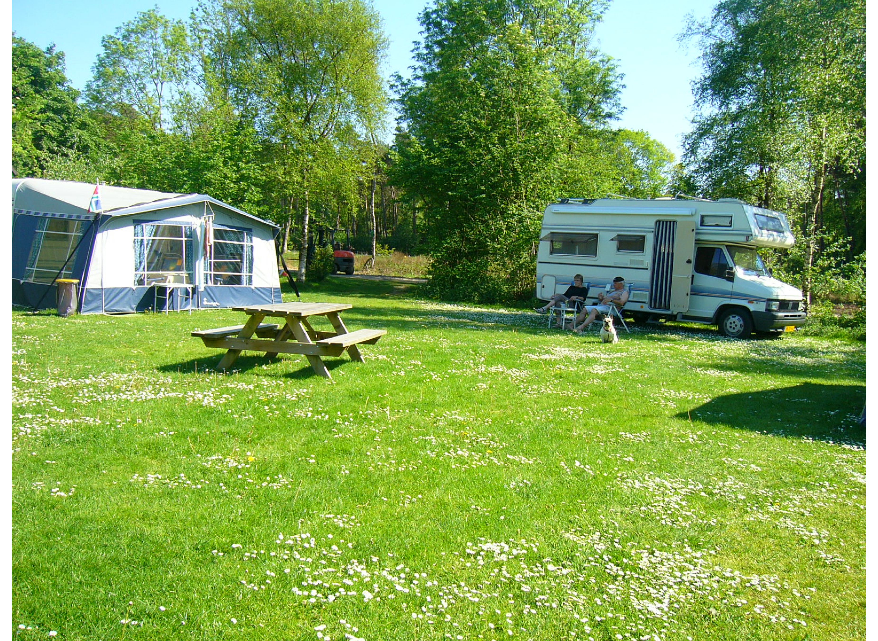 Camping de Bosrand Spier — Photo 4