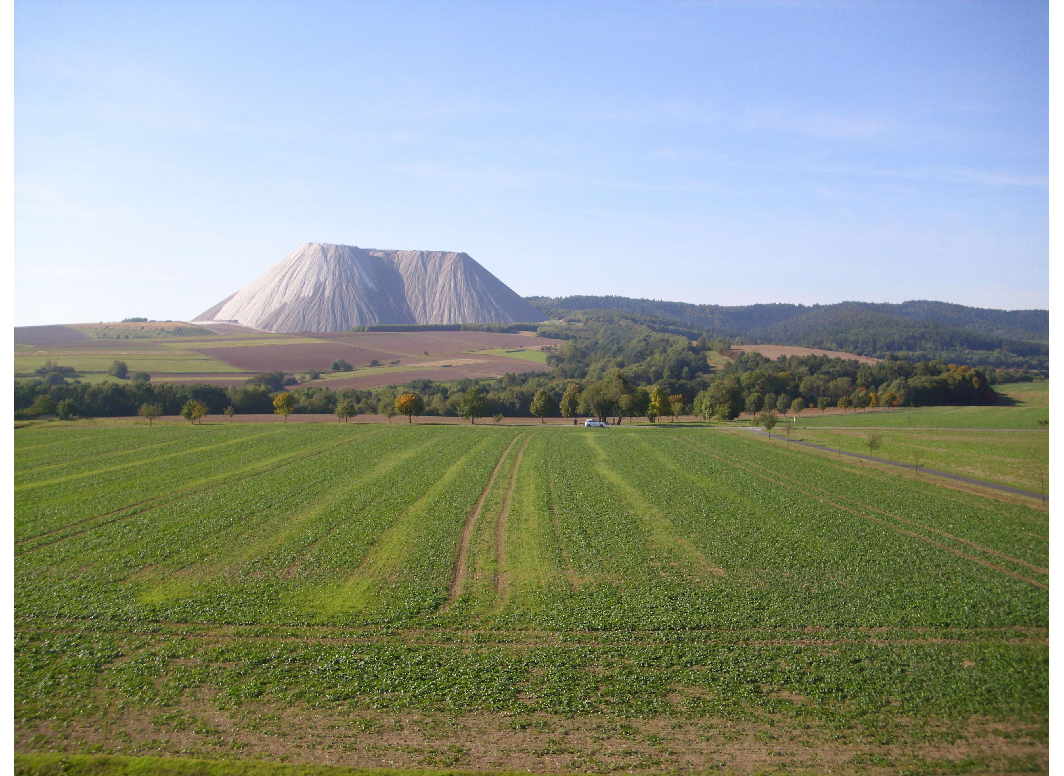 Hotel Waldschlösschen — Photo 3