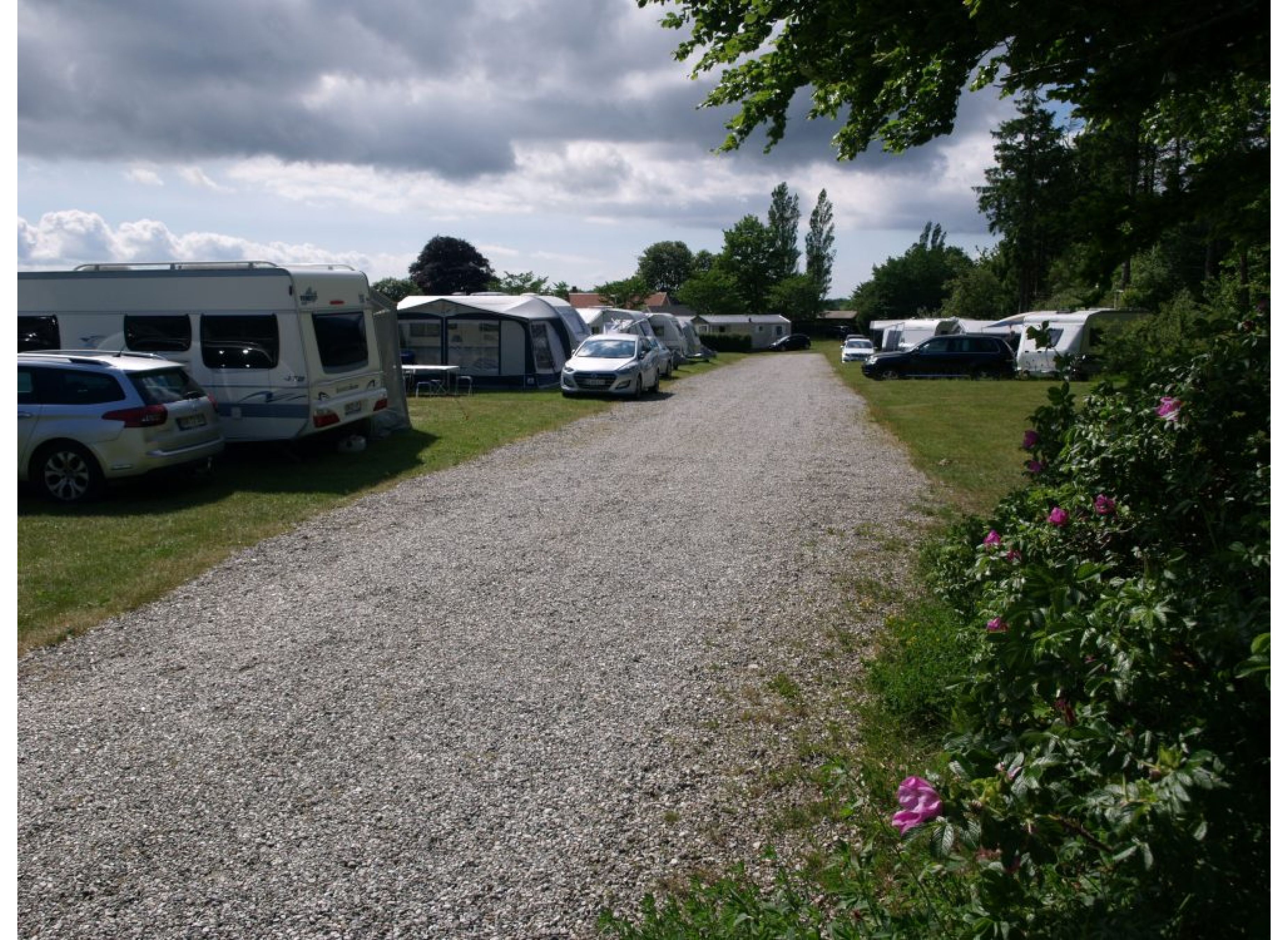 Faaborg Camping — Photo 3