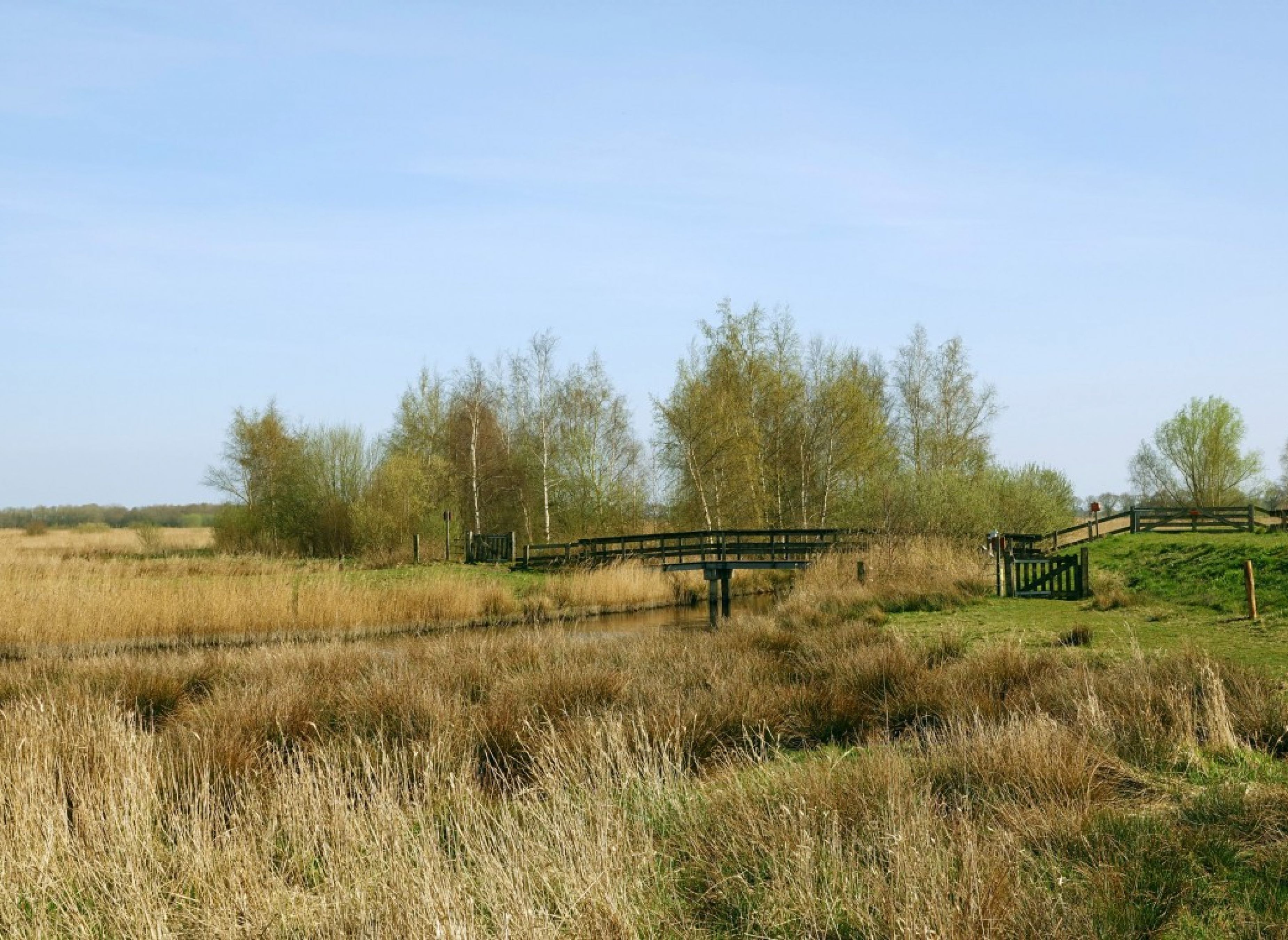 Camping Hof Van Kolham — Photo 4