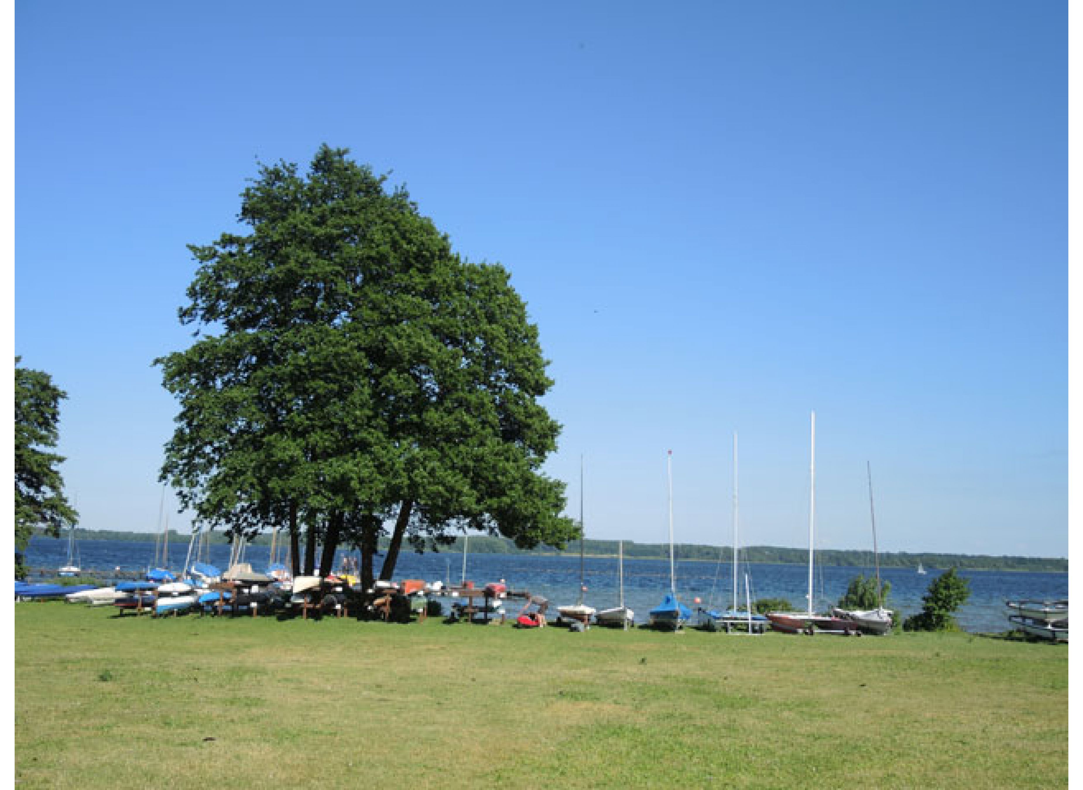 Camping Godau — Photo 3