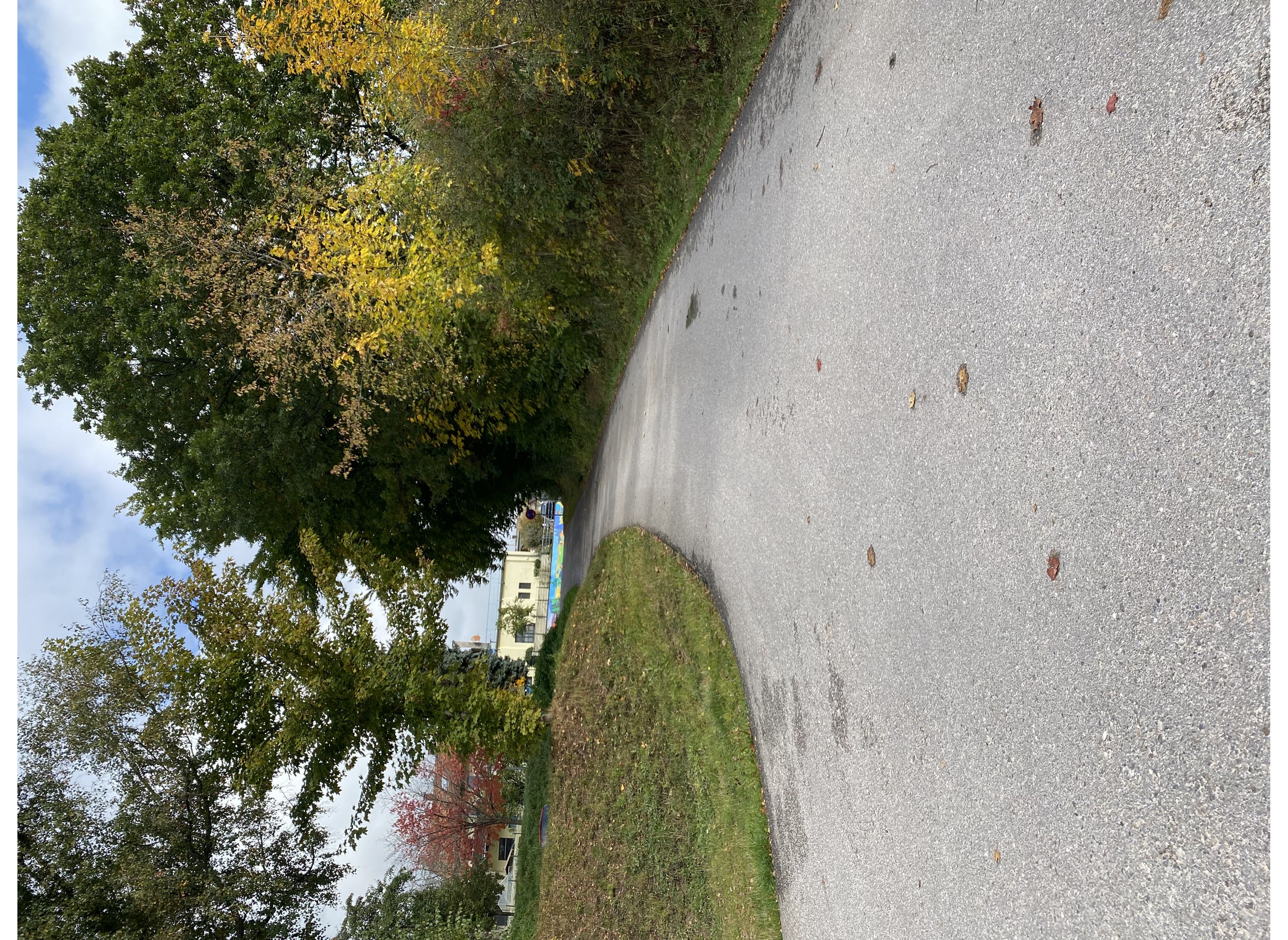 Stellplatz am Loßburger Freibad — Photo 3