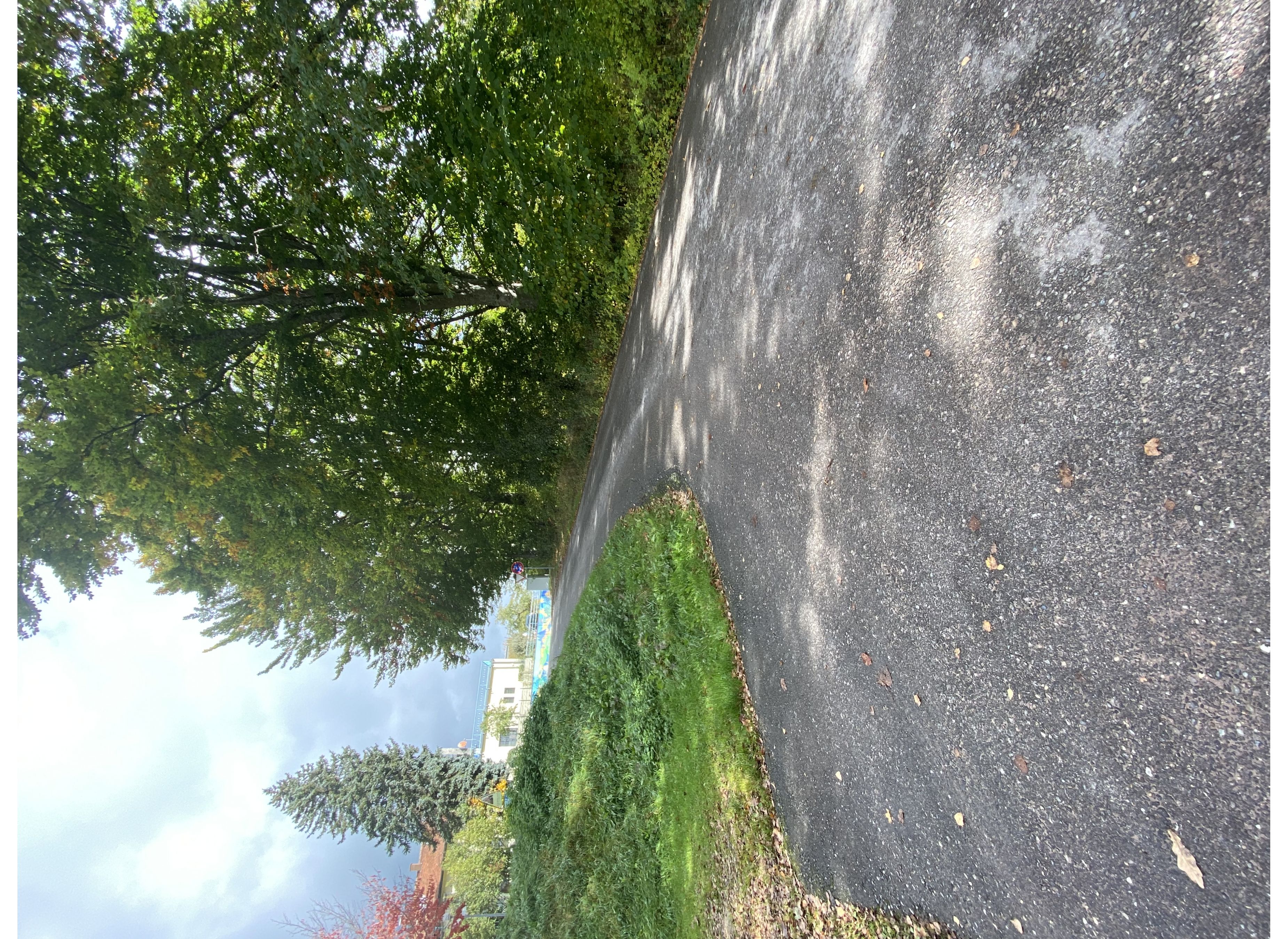 Stellplatz am Loßburger Freibad — Photo 6