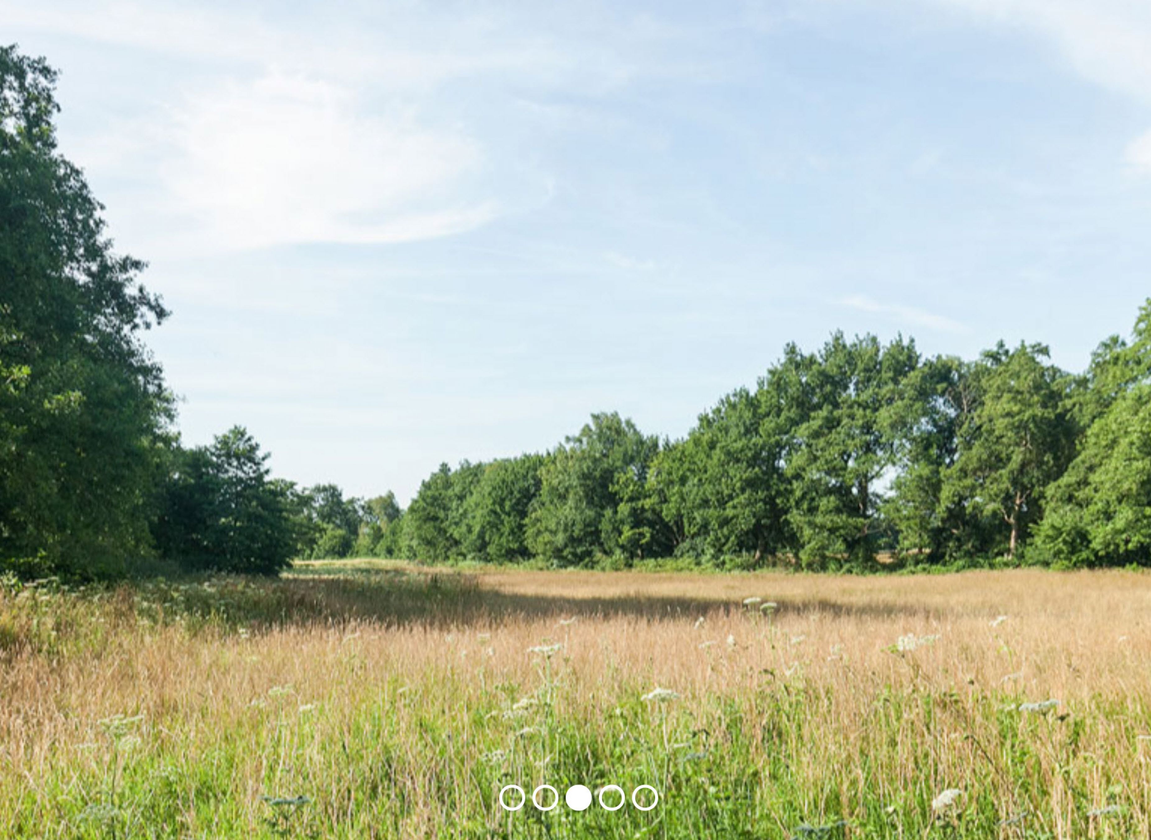 Camping Recreatiepark De Groene Valk — Photo 2