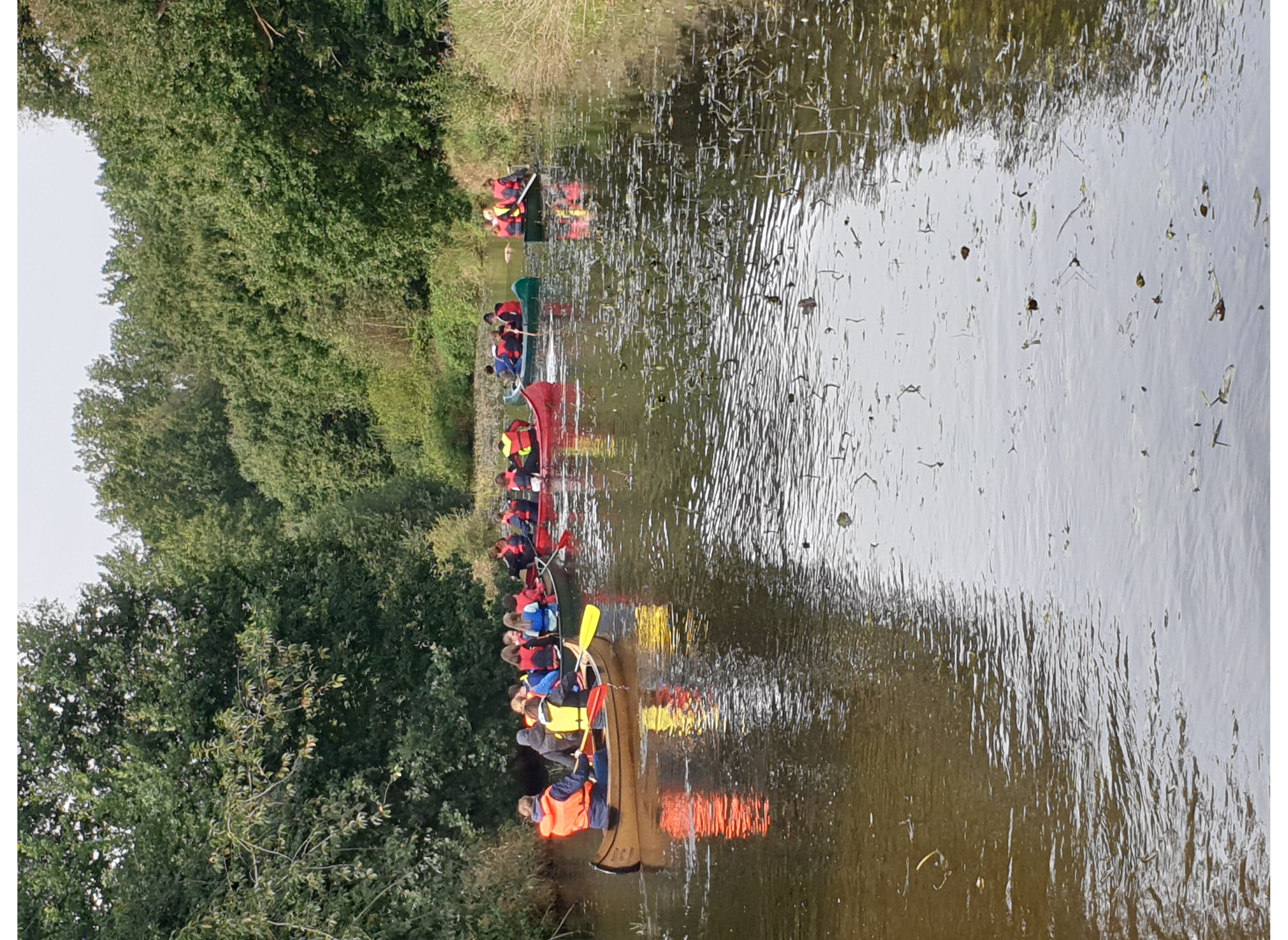 Soesteheim Friesoythe — Photo 5