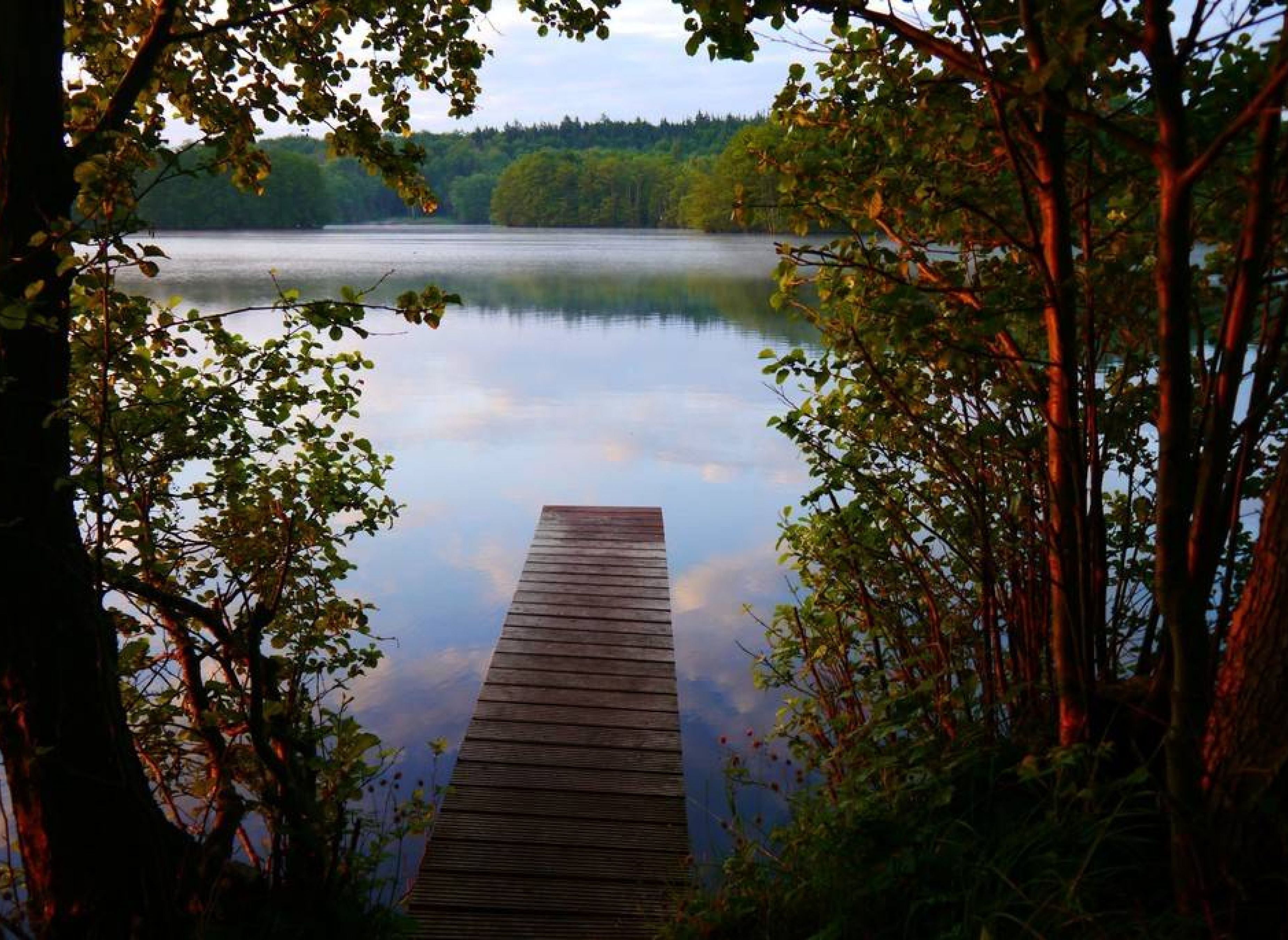 Rasenplatz — Photo 3