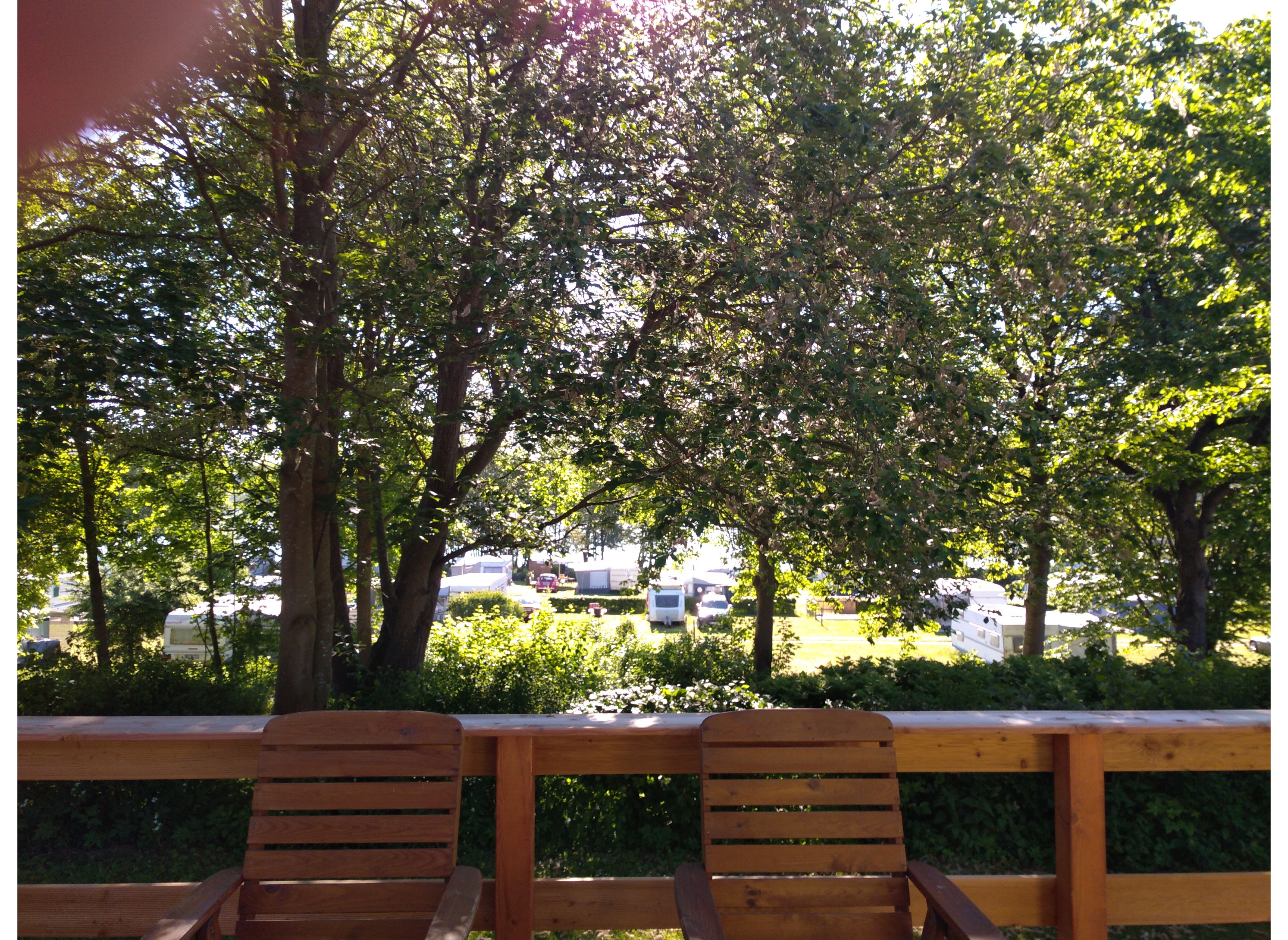 Rasenplatz — Photo 4