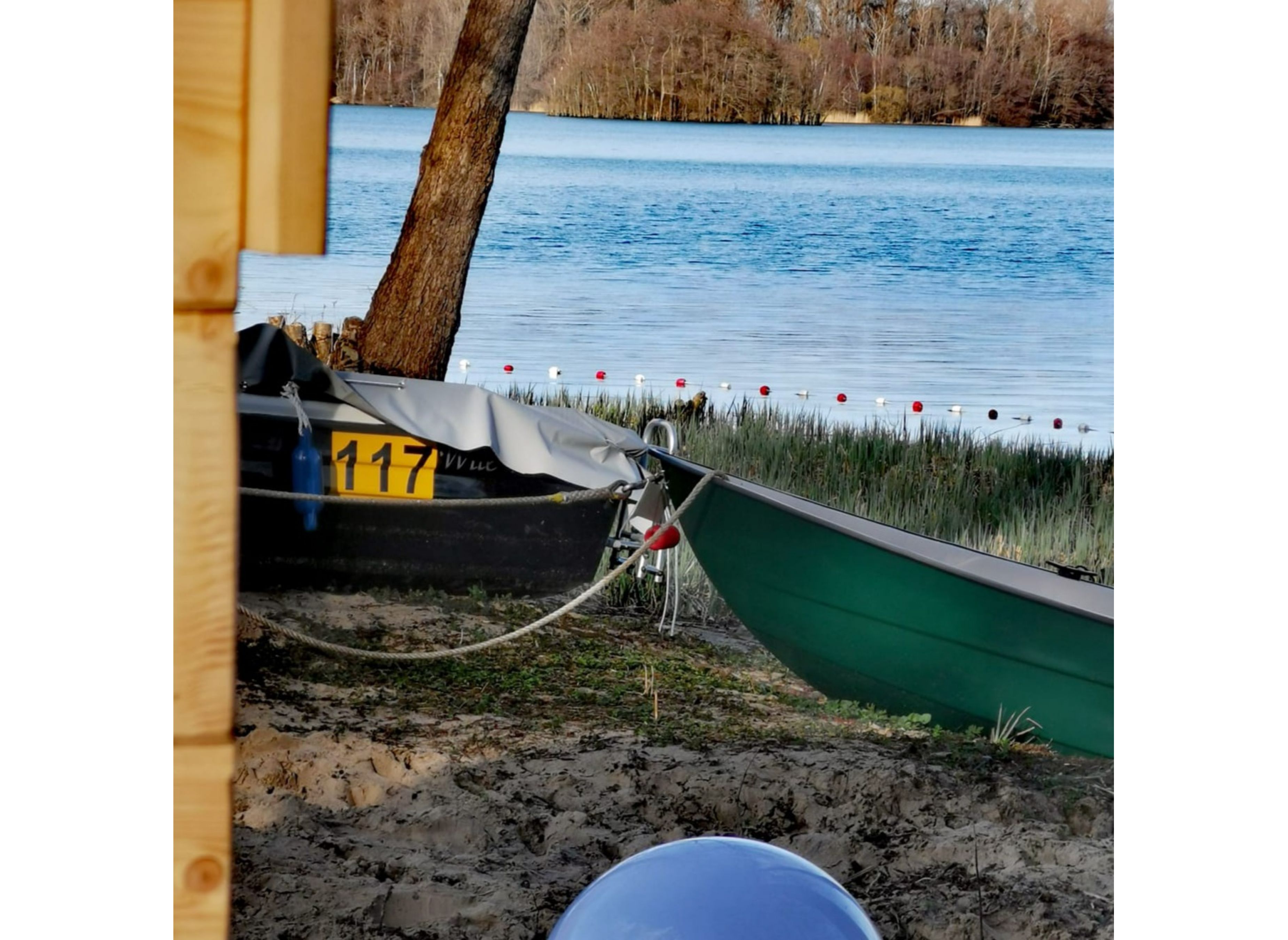 Rasenplatz — Photo 6