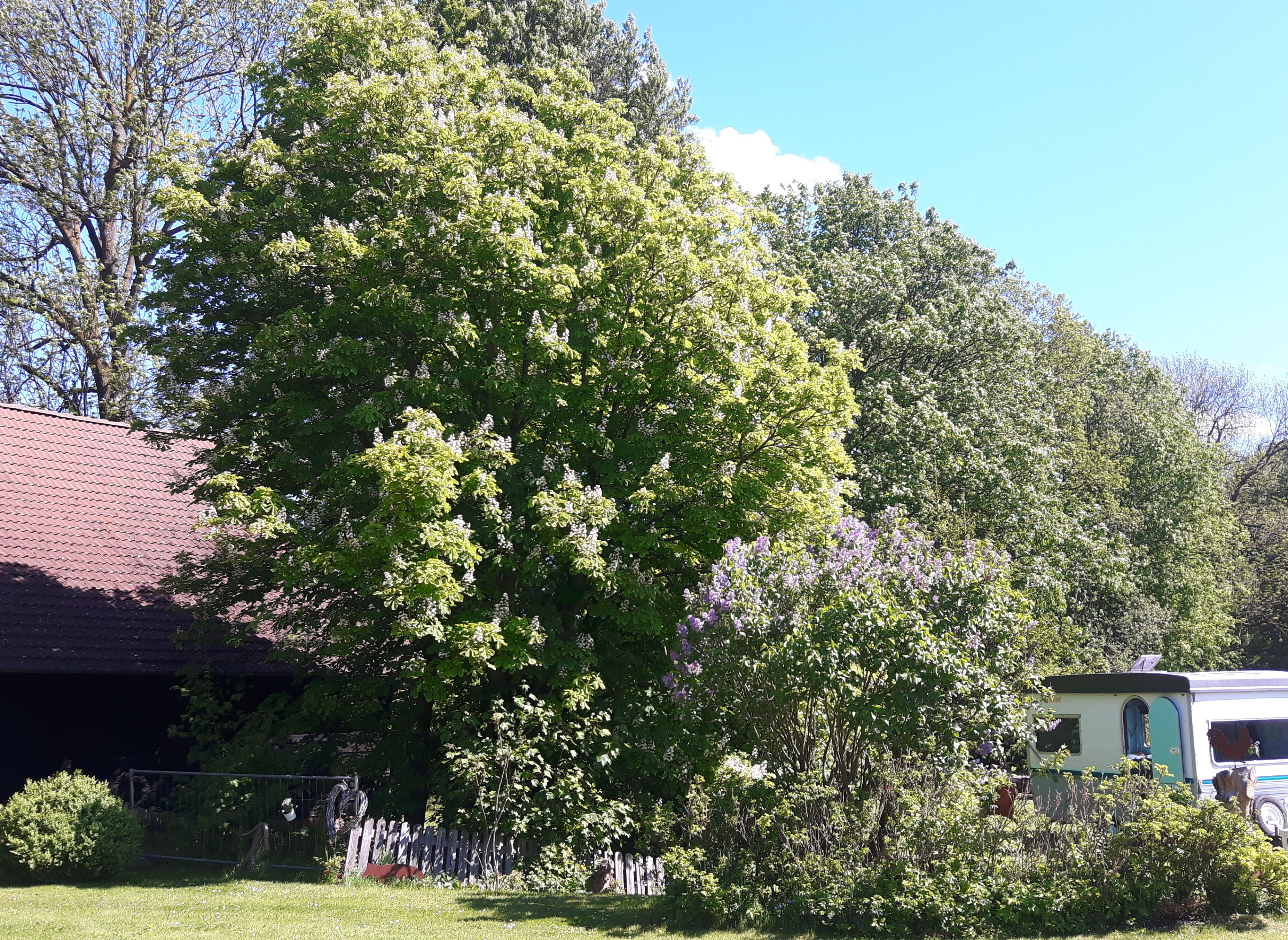 Hyggehof — Photo 3