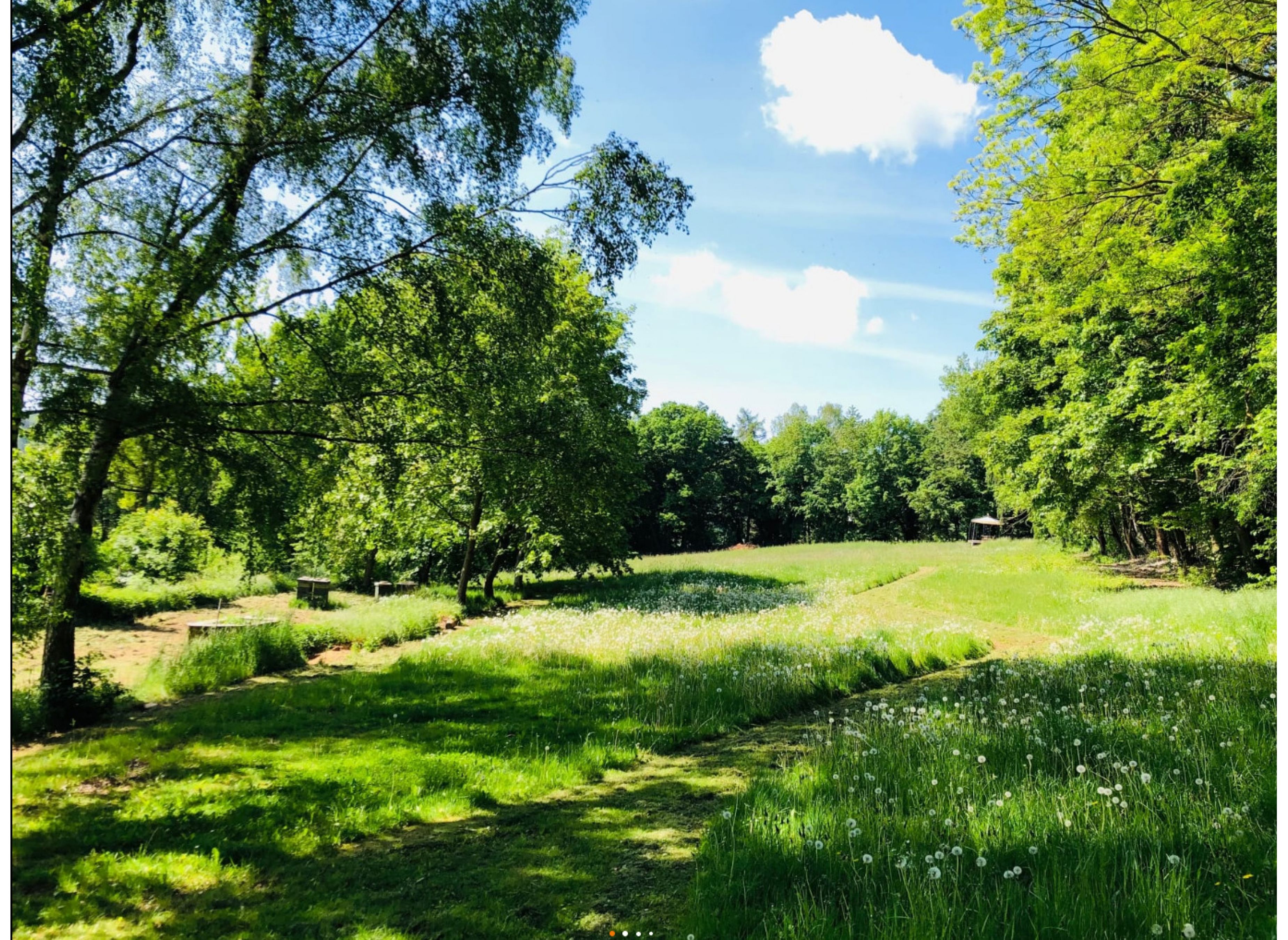 Ruhiger Vanstellplatz mit Harzblick