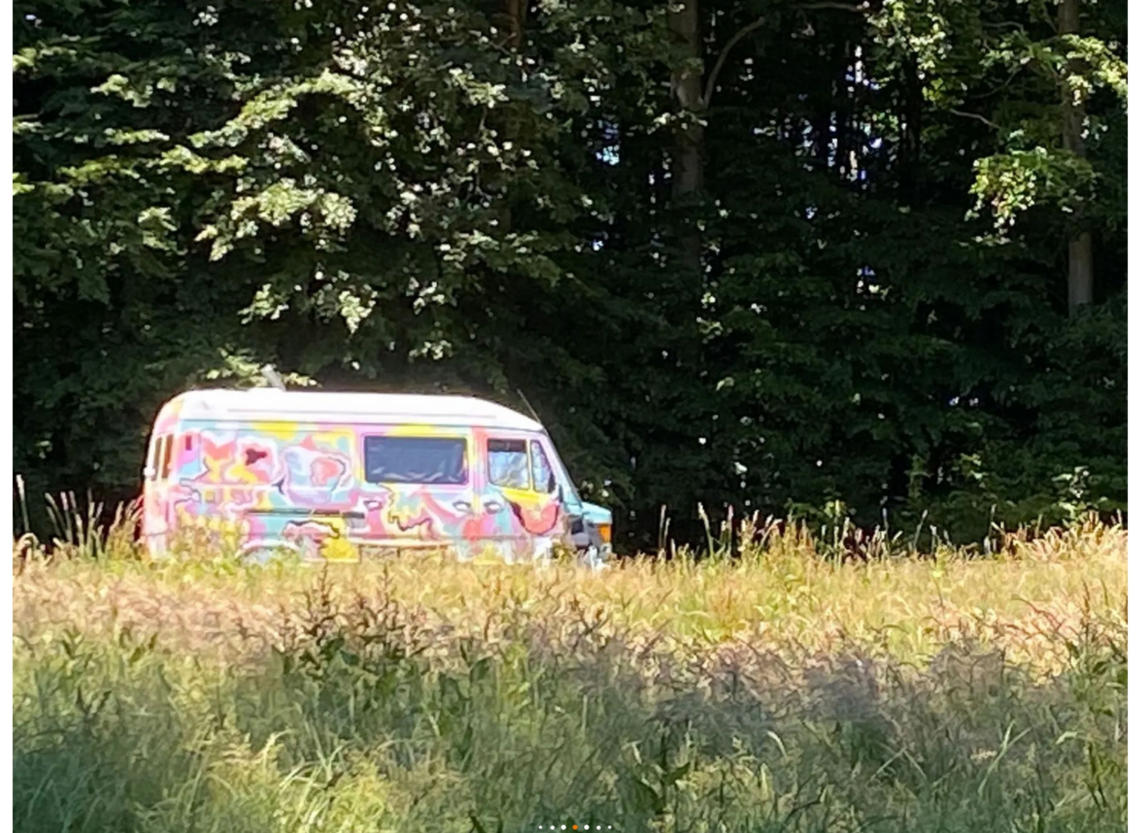Ruhiger Vanstellplatz mit Harzblick — Photo 5