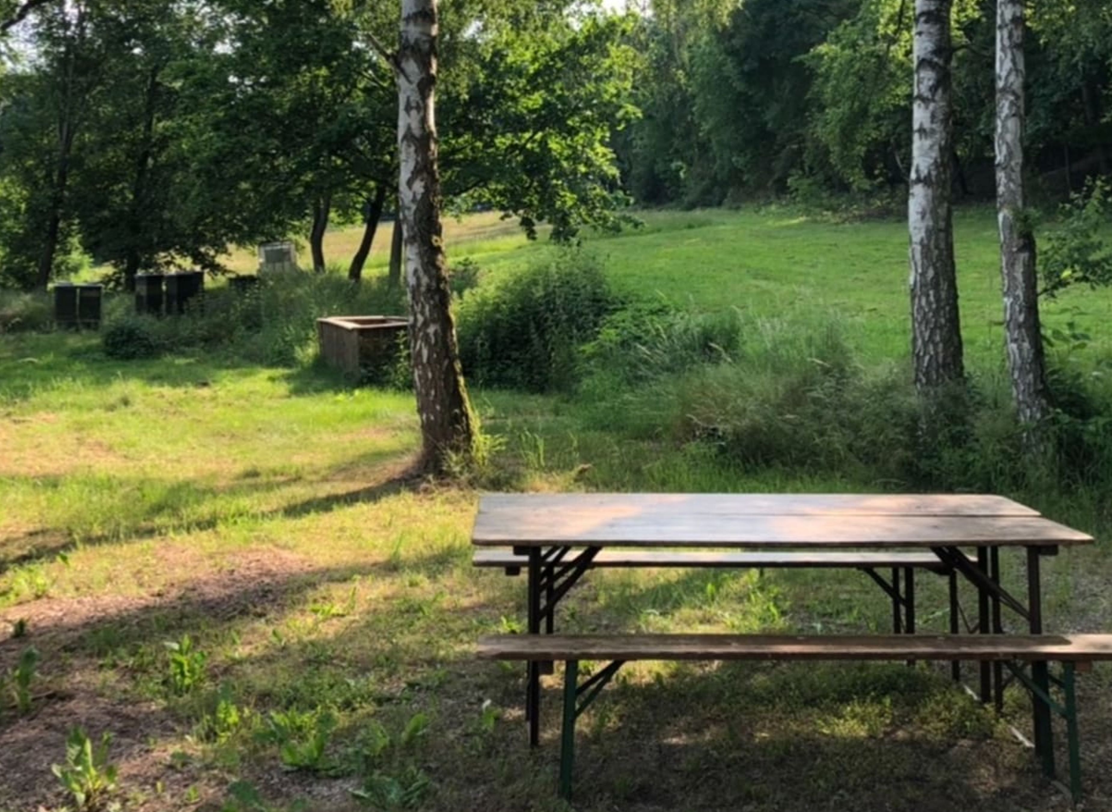 Ruhiger Vanstellplatz mit Harzblick — Photo 6