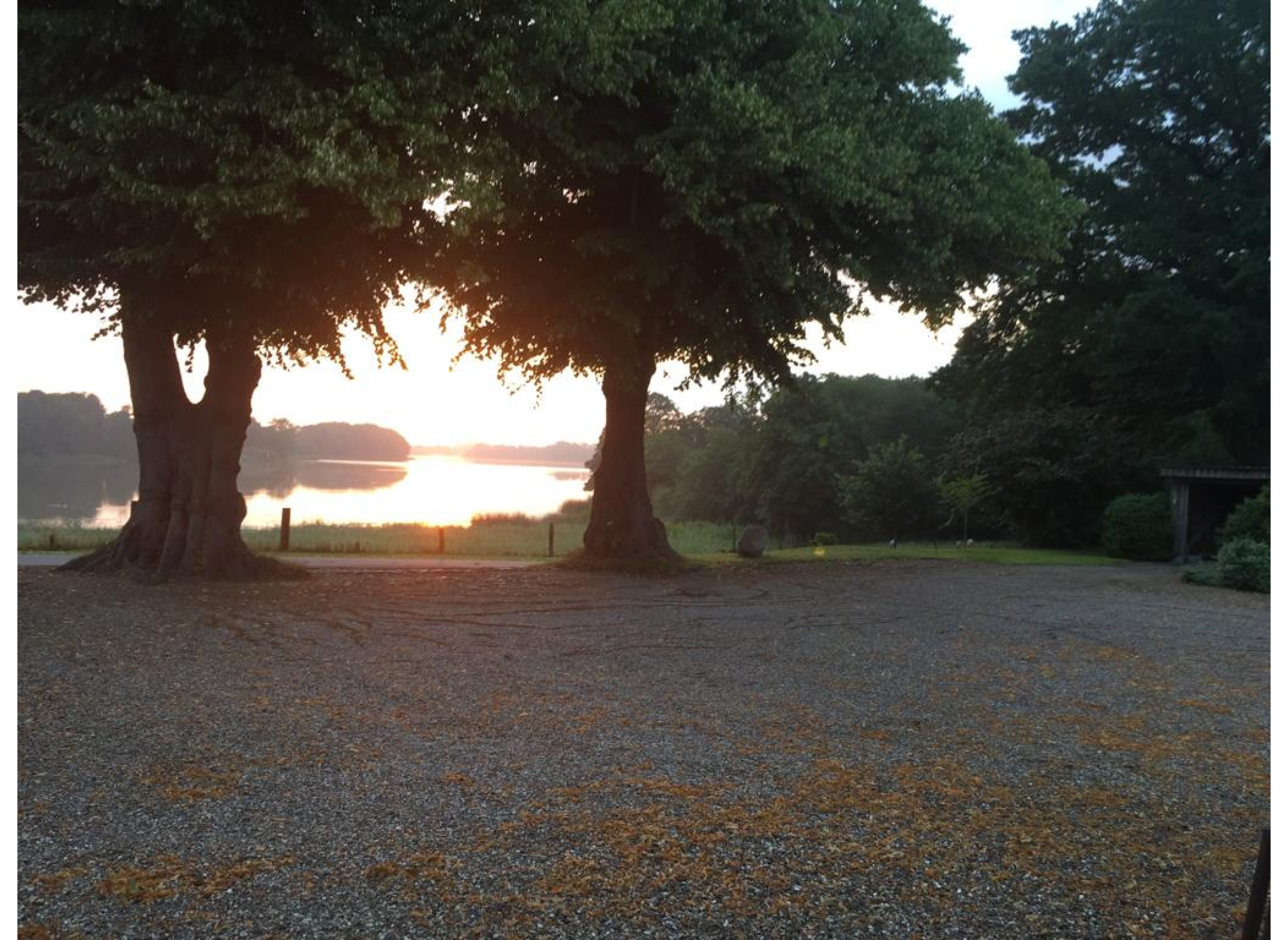 Seeblick Jürgenshagen — Photo 2