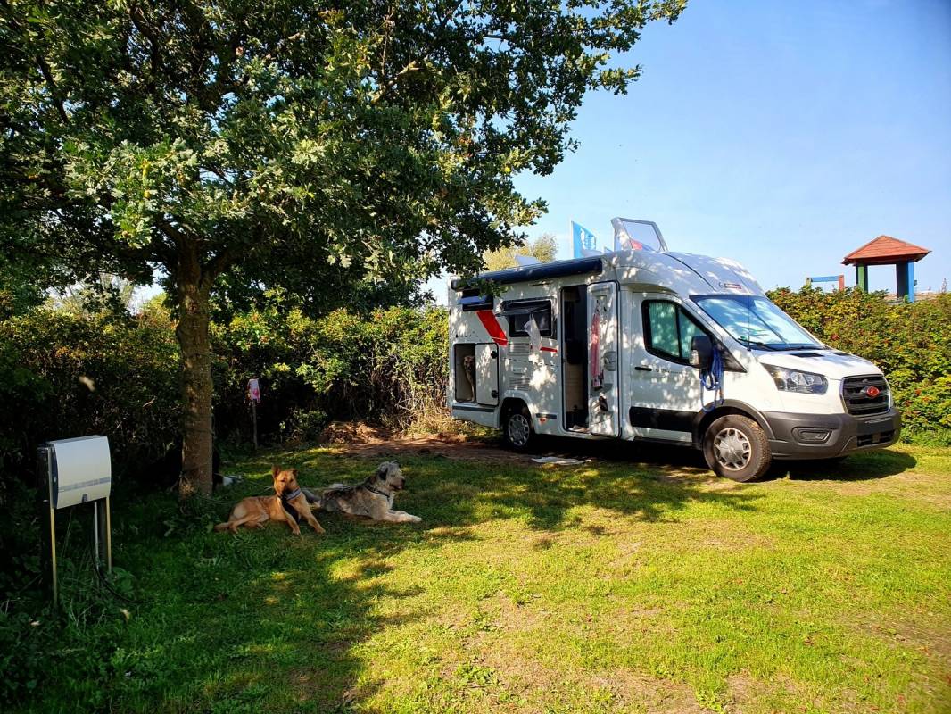 Campingplatz Dabitzer Hafen — Photo 6