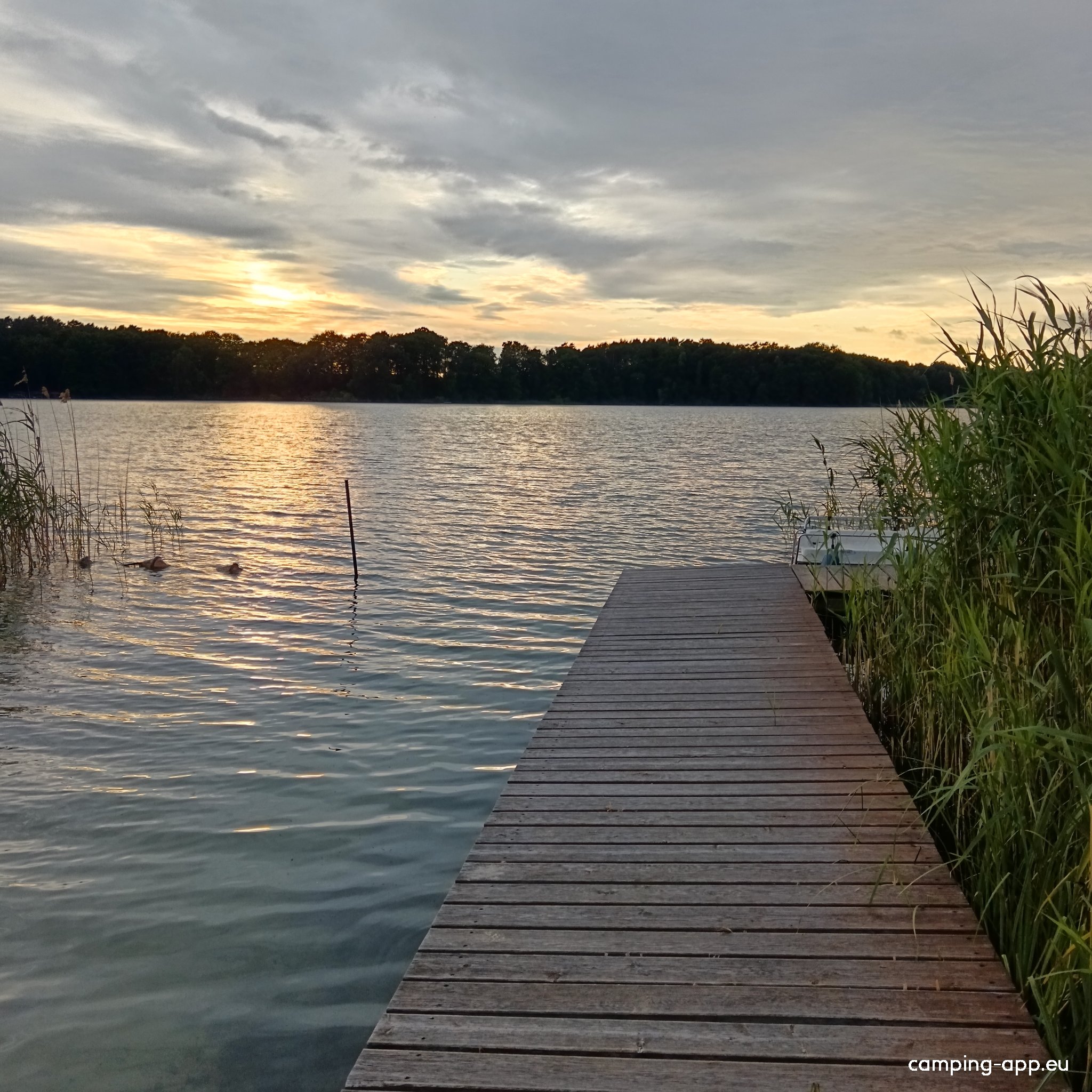 Campingplatz Am Glambecksee — Photo 6