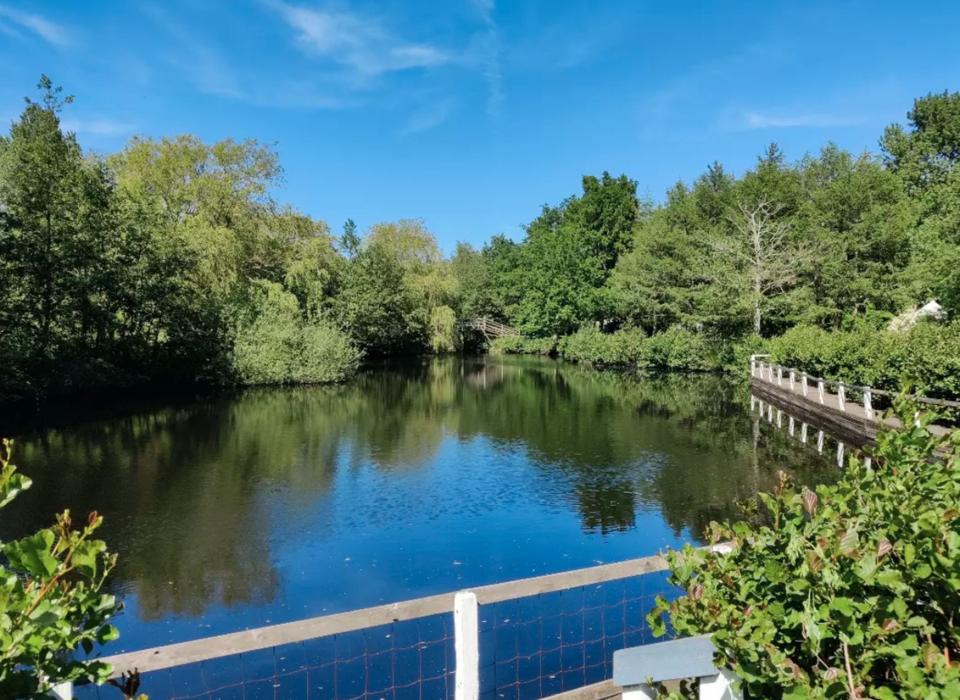 Family Camp Marielyst — Photo 2