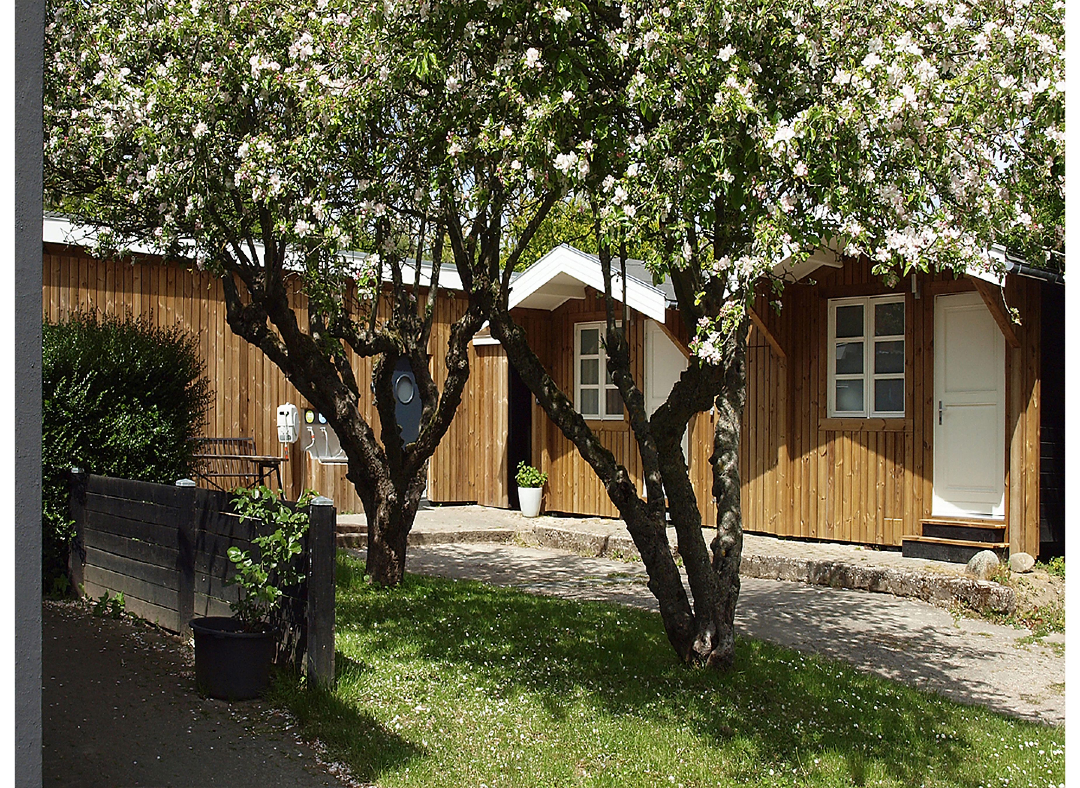 Guldborg Camping — Photo 2