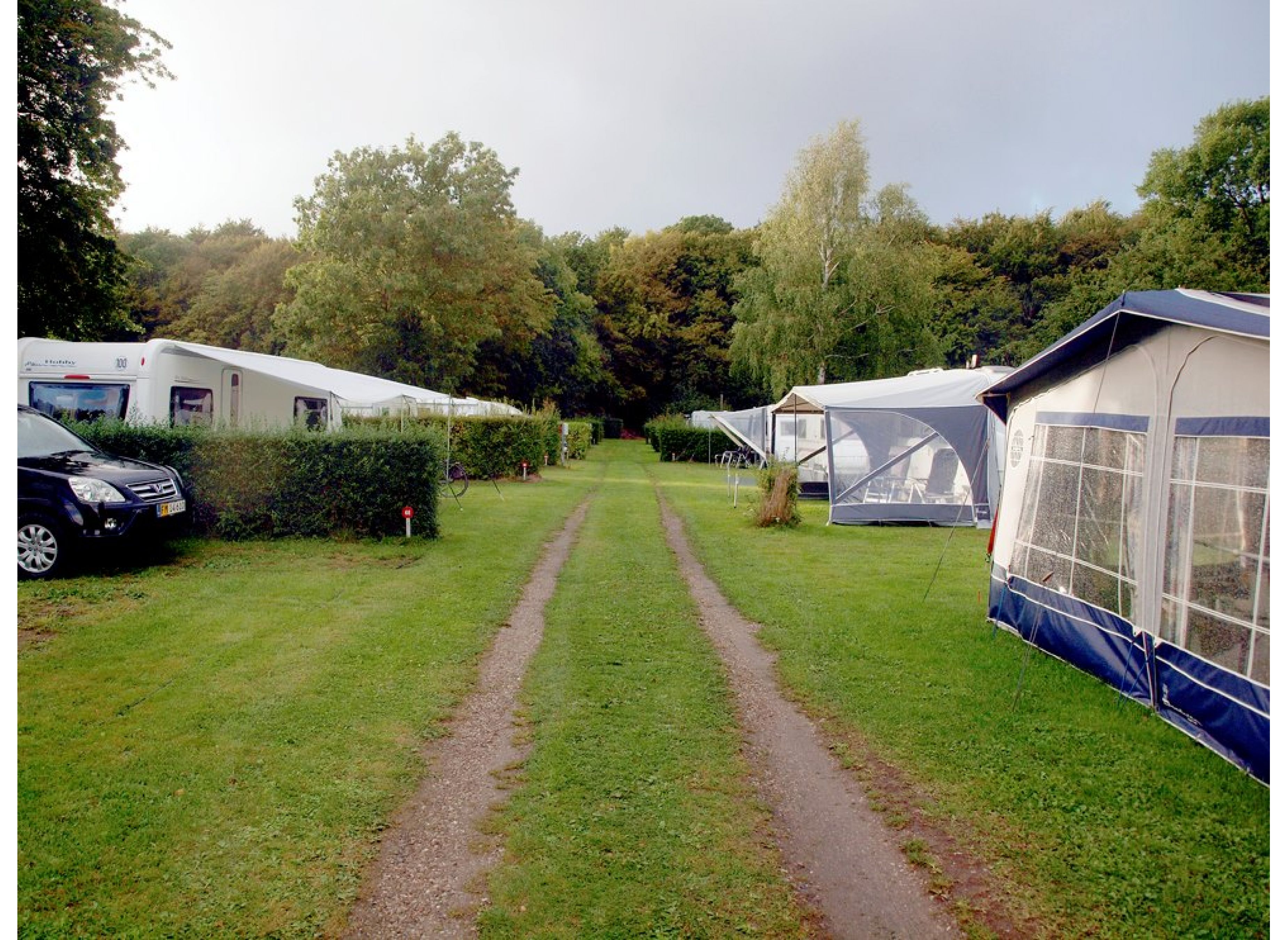 Guldborg Camping — Photo 4