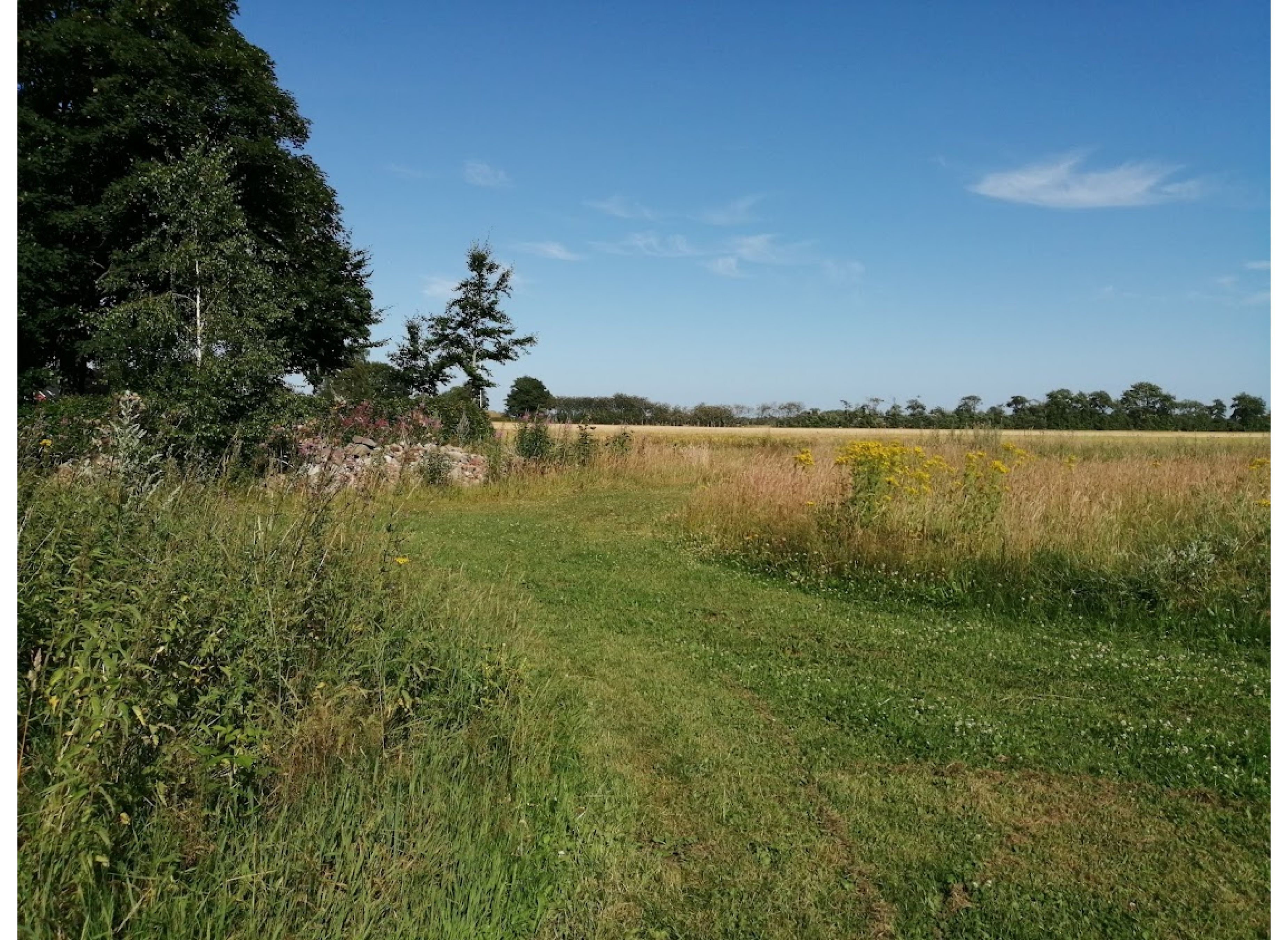 Woergård — Photo 3