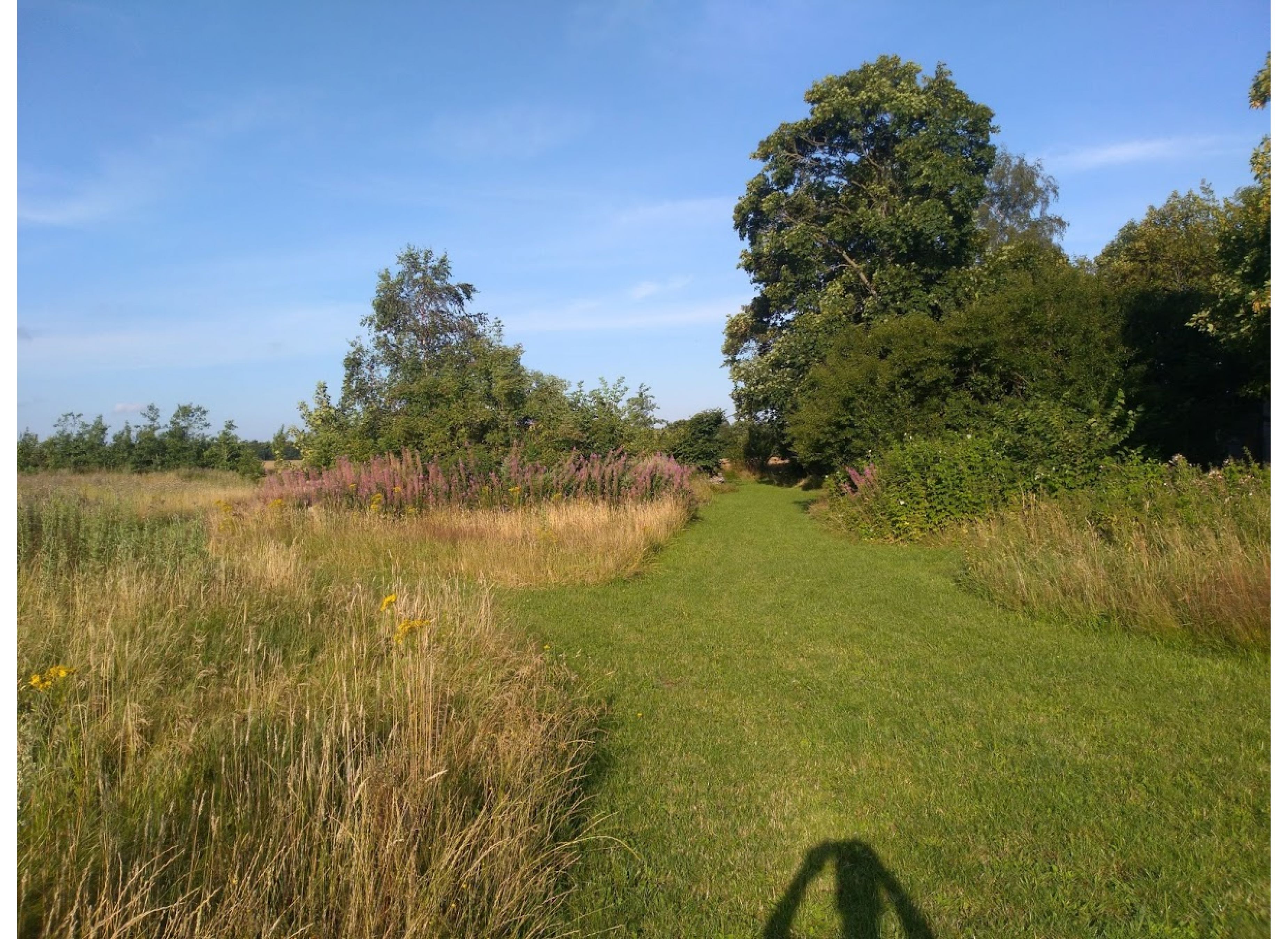 Woergård — Photo 6