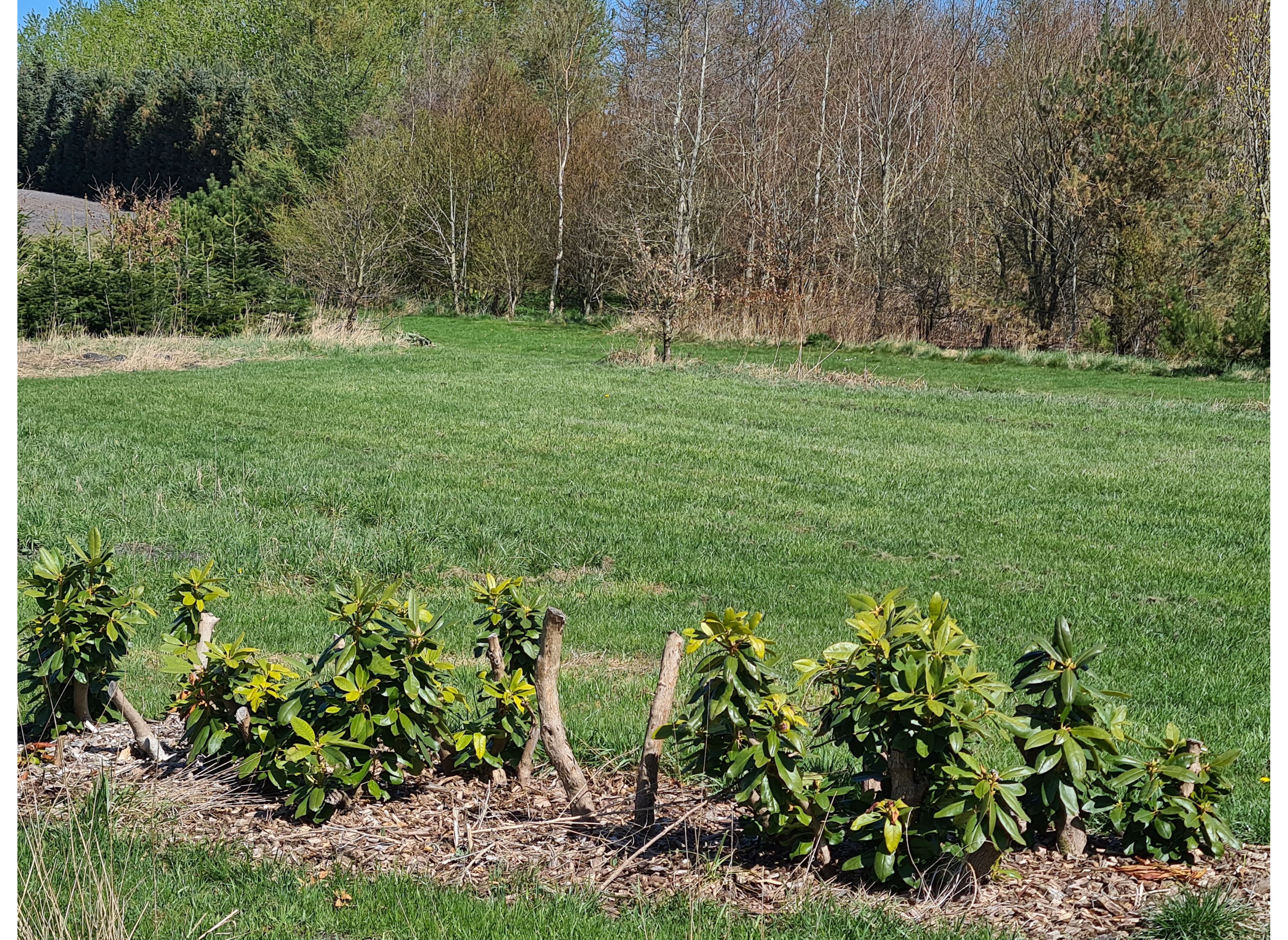 Vester Barde Landcamping — Photo 2