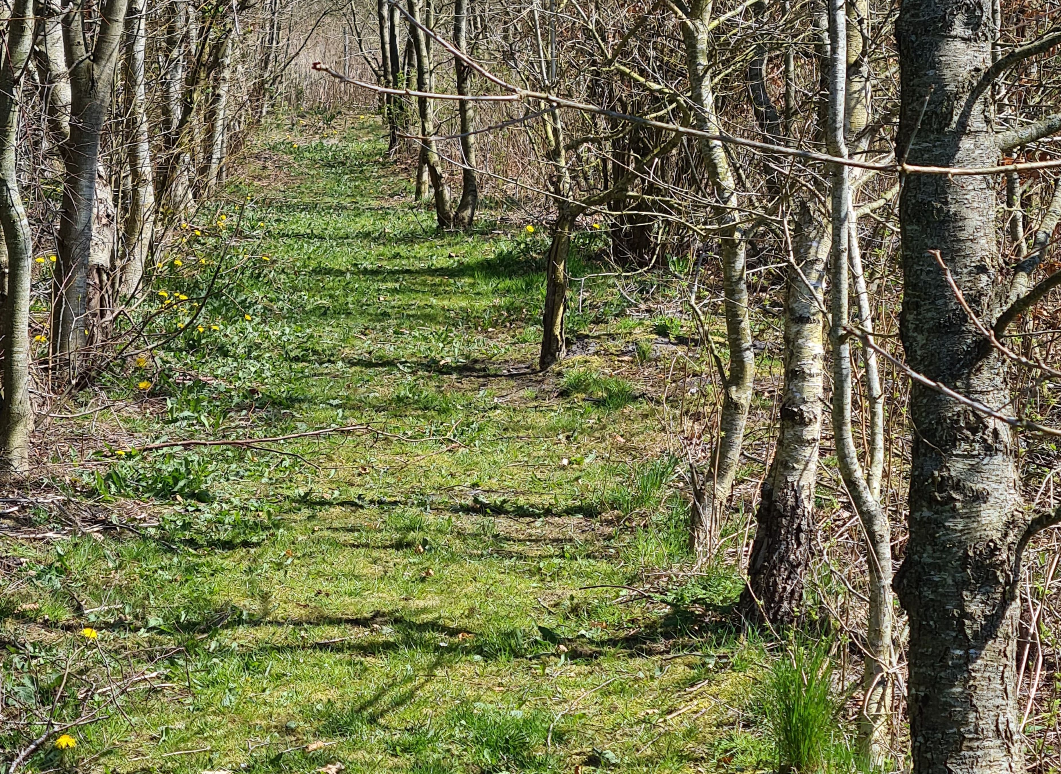 Vester Barde Landcamping — Photo 3