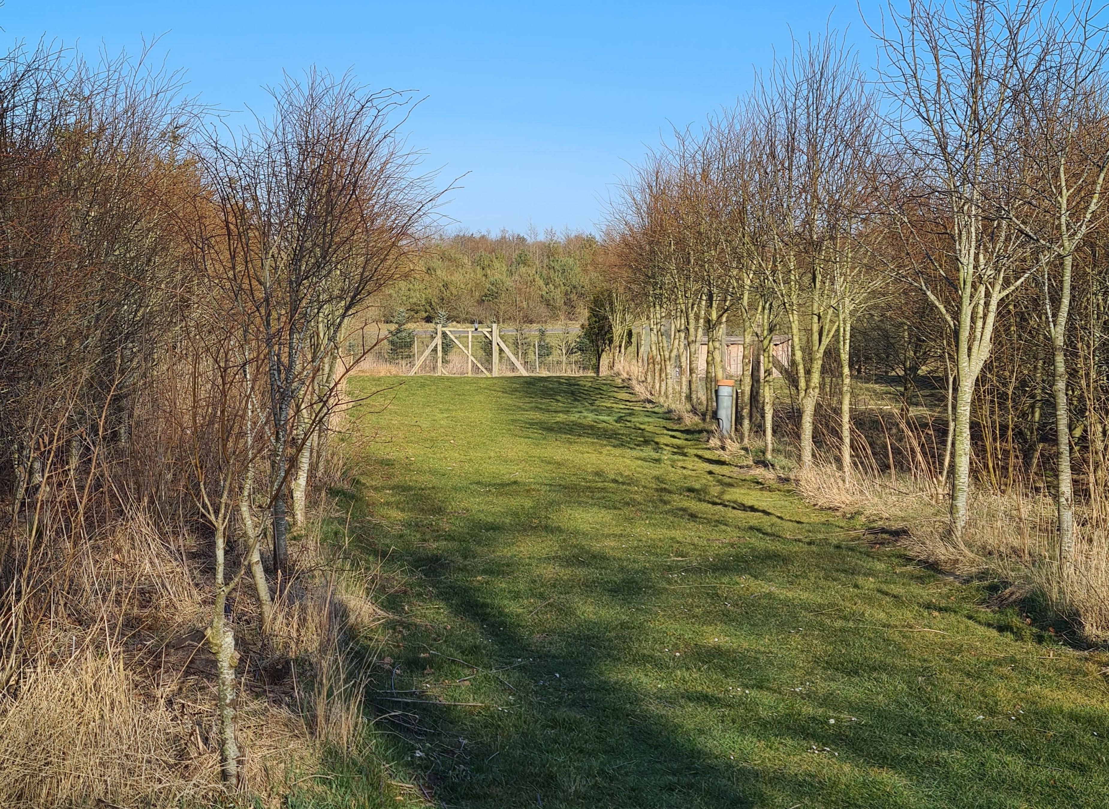 Vester Barde Landcamping — Photo 4